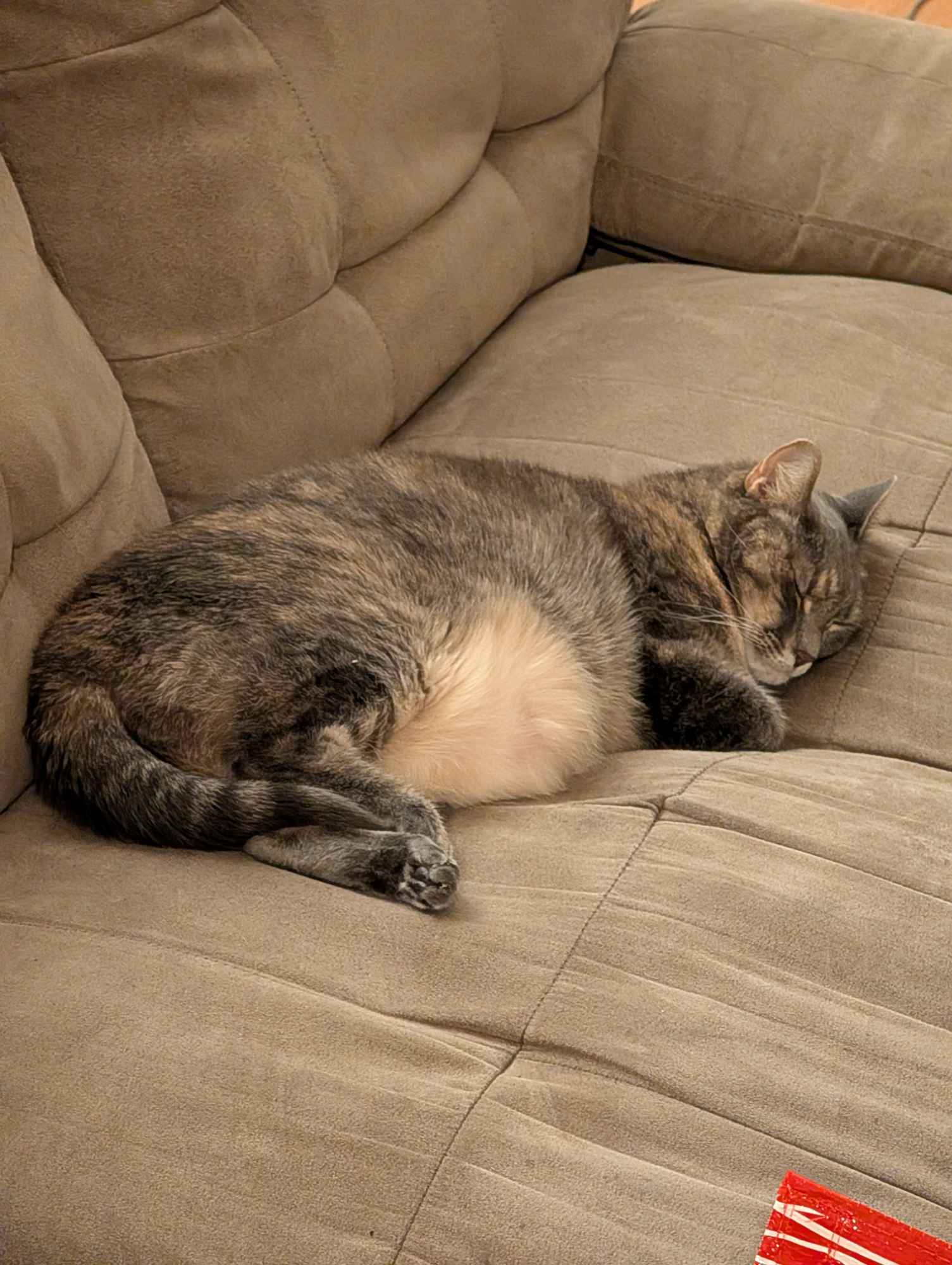 One bedroom is opening up in our 3 bedroom apartment in Bushwick.  Close to Irving Square Park and Halsey J or Halsey/Wilson L.  

Current roommates are in their 30s, one M one F,  both work in the food industry.  M roommate practices music at home in the afternoons, and you would be welcome to practice here as well (f you are a musician).  F roommate owns a cat who lives in the apartment.

The room comes with it's own bathroom (there are 2 in the apartment, and the other roommates share the other one). Room is fairly large, 10x12ish. Big enough for most people to live comfortably.

If you are intersted please reach out with some information about yourself like name/age/job.