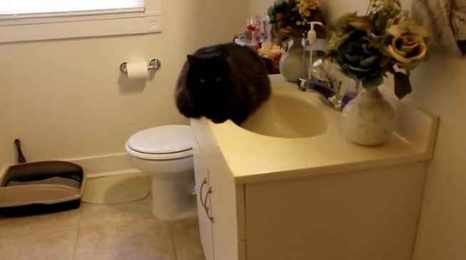 Hey everyone! We're looking to rent out our entire space, which includes a cozy 1-bedroom and 1-bathroom, along with a kitchen and a private entrance. The living area is perfect for relaxing, and the best part is that utilities are included in the rent! If you're interested or know someone who might be, feel free to reach out for more details. To inquire, kindly text or call [4788884359] and mention Henry and the address. We look forward to hearing from you. Thanks!