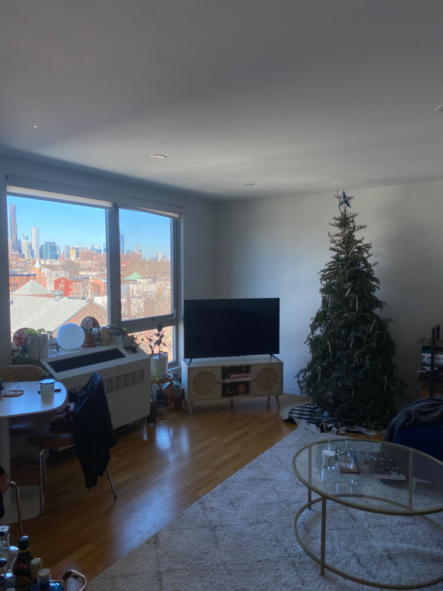 Renting a sun-lit room in the border of Clinton Hill and Bedstuy during the holidays. Less than a block away from the A/C train station - 10 minutes to the Financial District. Full living room, kitchen, and shared bathroom. Apartment shared with only one more person. He is really kind and keeps mostly to himself. Great price and good amenities (gym, laundry in building, and rooftop).