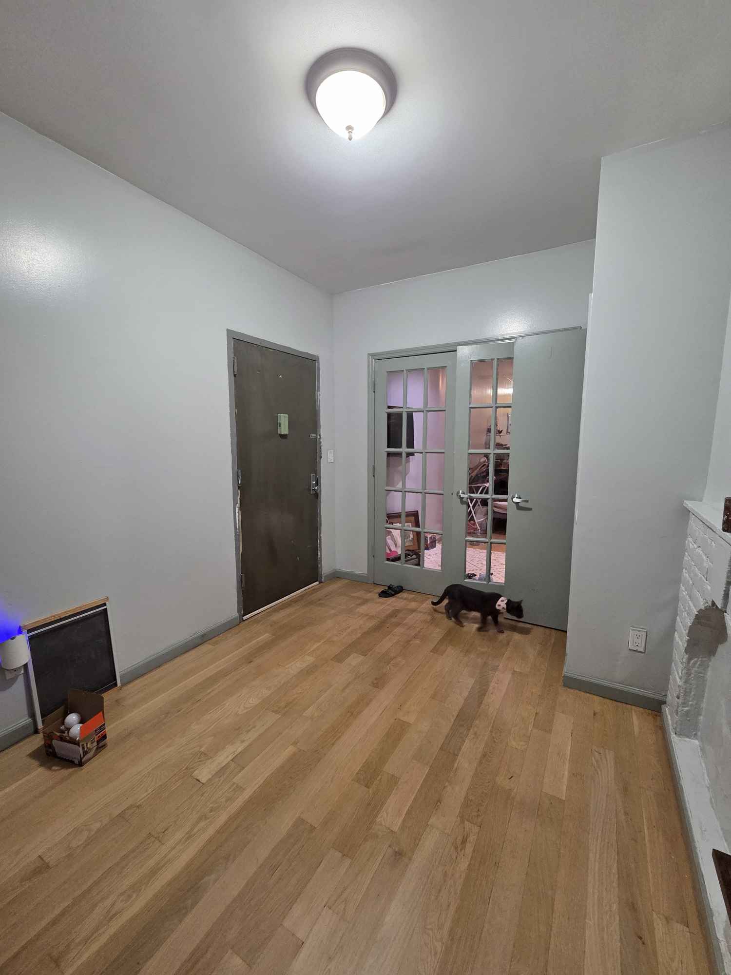 Hello! ISO a roommate who is looking for a long term place in Fort Greene. Private room with 2 great windows; spacious with closet and separate entrance. 1st floor and a shared private backyard (shared with 1 neighbor who does lots of great yardwork). Also great parking in the area, and a Wegman's + restaurants very close by.
I'm Grace (they/she), I'm 23 and work as a Kitchen Ops Manager - I live with my little babygirl cat, Miss Swiss Miss (2) and we're currently fostering Sullivan Bean (Little Kitty). (All litter boxes are in my room and it's a peaceful cat house)
I'm looking for someone who is down to hang out whether it's around the house or outside - I've had my share of shitty roommates so I would really appreciate someone who is clean and takes care of themselves. Good food is also a top priority for me and I'd love to be able to share some meals. 420
I am taking rolling applications in an "open house" style so please send along some info about you and I'd love to have you stop by to check the place out.