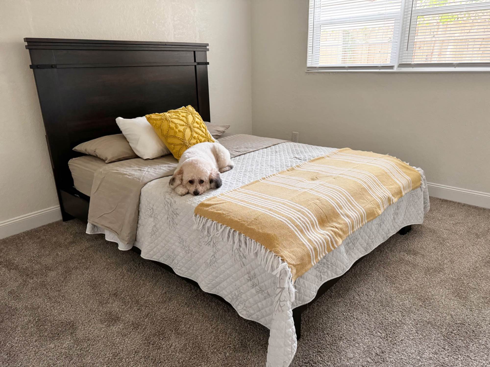 Furnished room in gorgeous house , super clean with good people , great neighborhood, close to everything. 