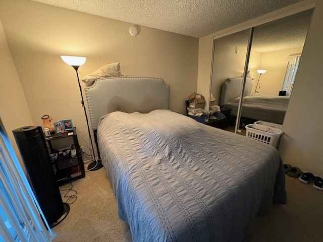 • I am a 47-year old single woman in Sales in the Entertainment Lighting Industry.
• I work from home during weekdays and keep things low-key and relaxed in the evenings. I tend to be out and about a lot during the weekend. Otherwise, I am usually catching a tv show, movie or reading a book.
• I share the space with two friendly cats, so cat lovers welcome! (preferably no additional pets)