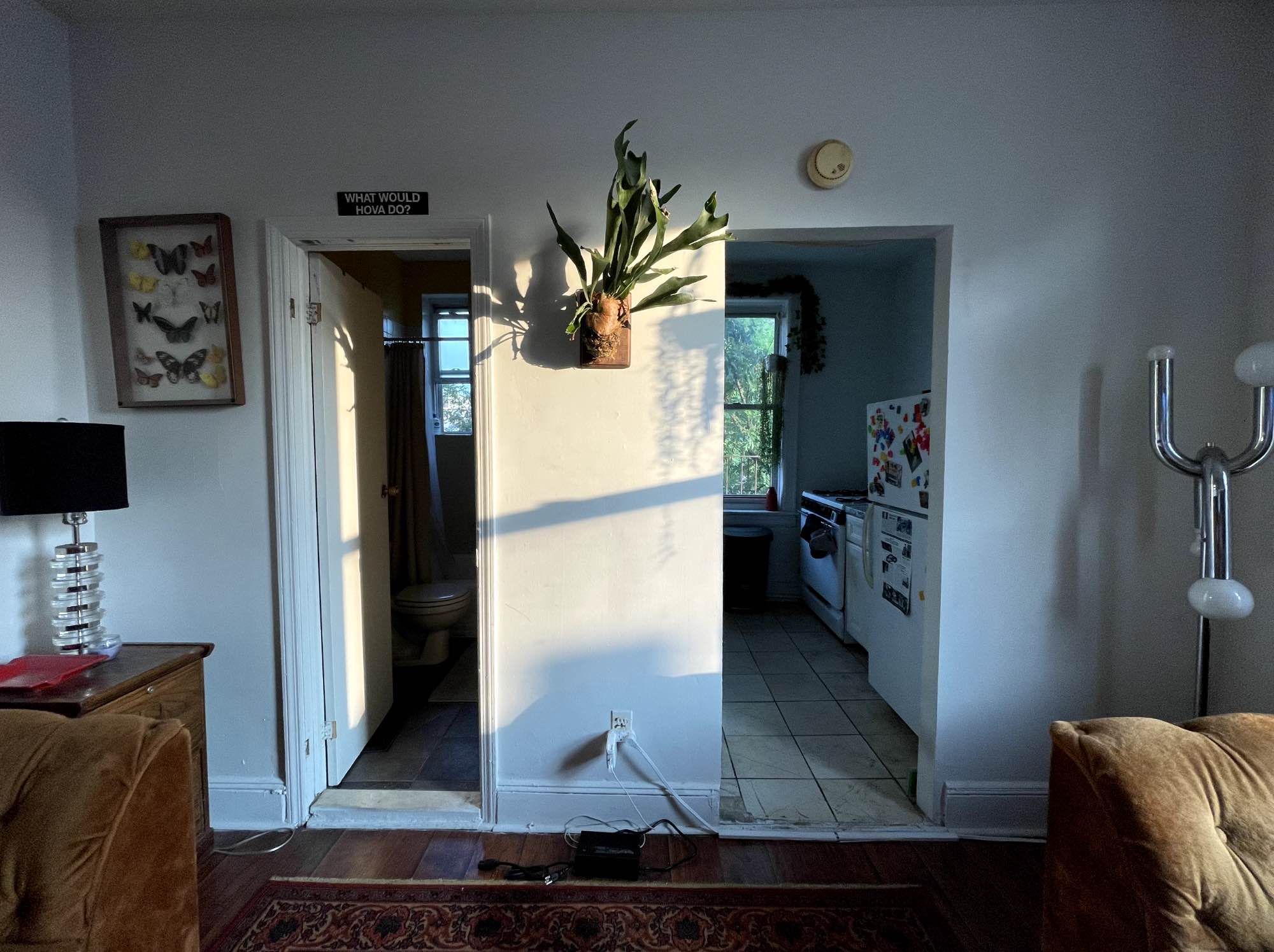 8/29-9/8 $650
204 MacDonough is a beautiful apartment escape from the hustle and bustle of NYC. It is on a painstakingly beautiful and quiet street that is lined with pre-war brownstones. The apartment is located in a very kind and loving community, where nearly every building and street is lined with flowing trees, gardens and plants. After living in NYC for 26 years, in many different neighborhoods, I can confidently say that this is my favorite place that I have had the opportunity to live.  This is a recently renovated, sunny two bedroom apartment with a private fire escape to a backyard jungle of trees, countless birds as well as access to a roof. The windowed kitchen has custom cabinets, stone countertops and modern appliances. The bathroom boasts modern fixtures, porcelain tiles, a tub, as well as a window for proper ventilation. There are hardwood floors, high ceilings and excellent closet space throughout the unit. Heat and hot water are included in the rent. The Apt is on the top floor, so no noisy neighbors will be above you. As mentioned, there is a private fire escape with access to a roof with panoramic views of Manhattan.   There are several laundromats within a two block radius of the apartment. The C train is a 2 block/3 minutes walk as well and gets you to downtown Manhattan in 20 minutes. You are steps away from countless amazing restaurants and bars as well as grocery stores, dollar stores and anything one might need can easily be found steps away on Fulton street.   The building is fairly quiet with respectful and friendly neighbors. There is a space out front to lock one’s bike up (I have a moped) and we have near private/exclusive access to the roof. Living on the top floor provides an added benefit of not having any loud neighbors/heavy feet above you. With beautiful daily sunsets and amazing natural light, it is easy to get lost and find peace in a place like this. 