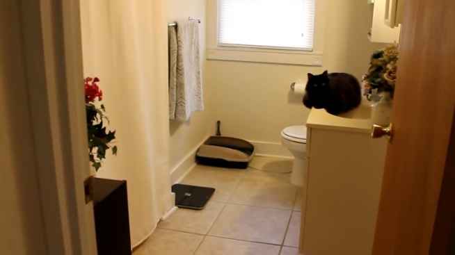 Hey everyone! We're looking to rent out our entire space, which includes a cozy 1-bedroom and 1-bathroom, along with a kitchen and a private entrance. The living area is perfect for relaxing, and the best part is that utilities are included in the rent! If you're interested or know someone who might be, feel free to reach out for more details. To inquire, kindly text or call [4788884359] and mention Dennis and the address. We look forward to hearing from you. Thanks!