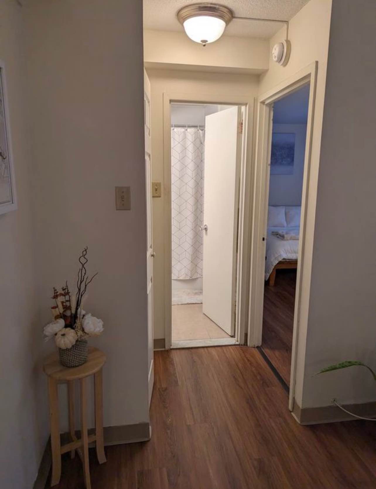 Feel free to contact me for more information about the place i have for rent my gmail is corporanrafael414@gmail.com