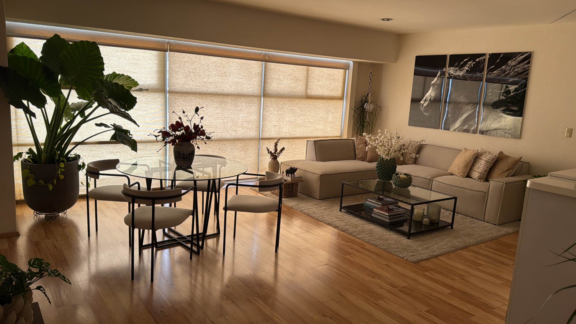 Room rental in Calz. Gral. Mariano Escobedo 193, Anáhuac I Secc, Miguel Hidalgo, 11320 Ciudad de México, CDMX, Mexico - private Room