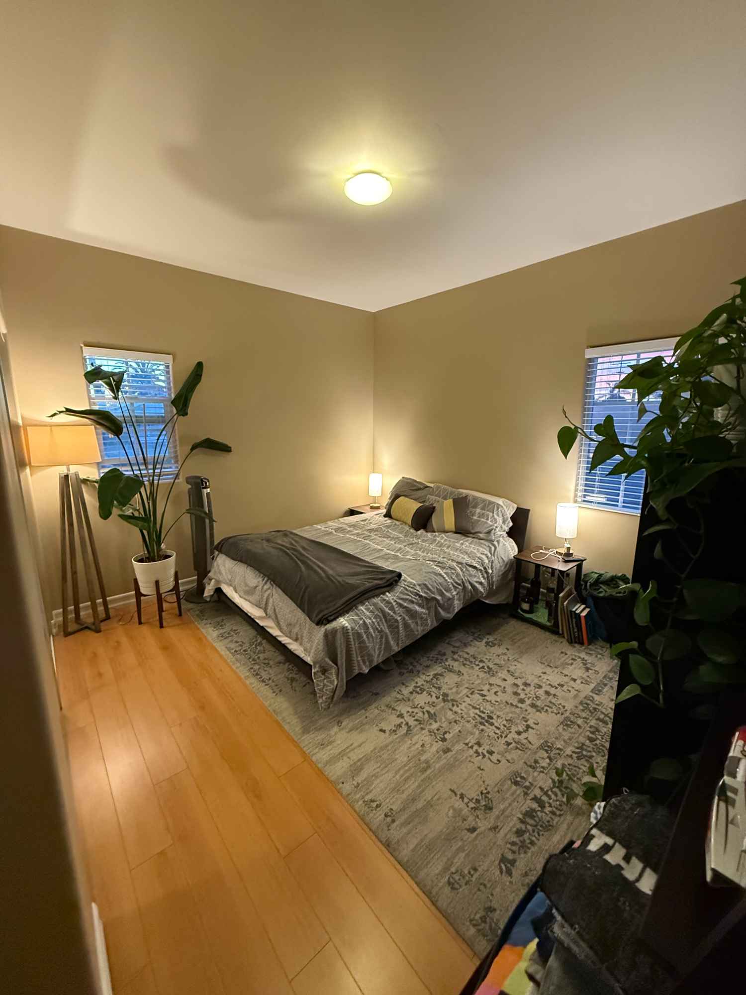 Large room for rent in a 3 bedroom, 3 bathroom home in a quiet and safe San Diego neighborhood. The house has a big, open living room and kitchen that are perfect for cooking or hanging out. Hardwood floors run throughout, and there’s central A/C and heat, plus a washer/dryer, dishwasher, and all new appliances. You’ll also have a detached garage with your own parking spot, along with plenty of street parking. The home includes a front yard, patio, and backyard great for relaxing or enjoying the San Diego weather.
The available room is bright, spacious, and comes with its own full private bathroom. The home is on a peaceful street with easy freeway access, within walking distance to a grocery store and a park just a block away. It’s also super central, just minutes from Mission Valley restaurants, shops, and more.
I’m Adam (48). I work full-time and spend much of my free time volunteering for nonprofit animal rescue. At home, I like to keep things relaxed and welcoming. I enjoy cooking, sharing the occasional meal or board game, and creating a comfortable, peaceful environment to recharge.
The room is available now. If this sounds like a good fit, message me with a little about yourself and we can set up a time for you to see the space.