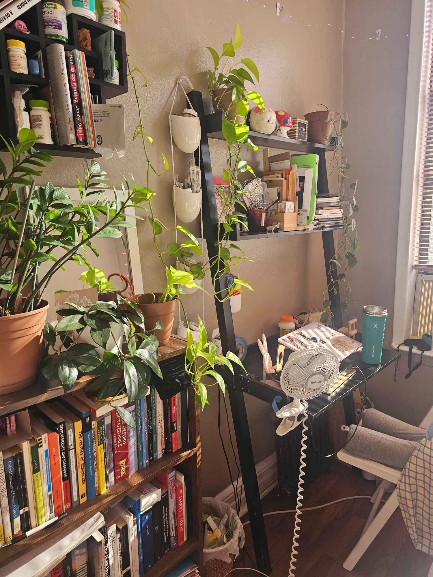 ☀️ Sun-Soaked Room in Ditmars-Steinway (Astoria, Queens)
Lease Takeover - Nov 1 to June 30, flexibility to move in Oct 23
⭐ Apartment ⭐
Three bedroom, one bathroom, second story walk up with no elevator, no tenants above (perk for noise). No laundry in building but there are two laundromats on the street next door. No pets allowed.
⭐ Room ⭐
Two large south-facing windows. Small closet. Approximately 121 sq ft. Can comfortably fit a queen size bed and other furniture - I can sell/give you my furniture, or you can bring your own. There is a radiator and heat is covered in the rent during the winter time.
⭐ Culture⭐
I'm seeking someone who is responsible, respectful and easygoing. Chores are shared among roommates, and we clean up after ourselves in the kitchen and bathroom. You will fit in well if you are empathetic, interested in social justice, and community orientated while having appreciation for solitude.
If you're interested, please message me introducing yourself and a brief description of your expectations for shared housing. I've lived in this apartment for 5 years and bittersweetly departing for my next journey.
Roommates are women in their late 20s. Both primarily work in-person jobs. Our household is very peaceful. We strive to be as clean as possible but have compassion for off-days.