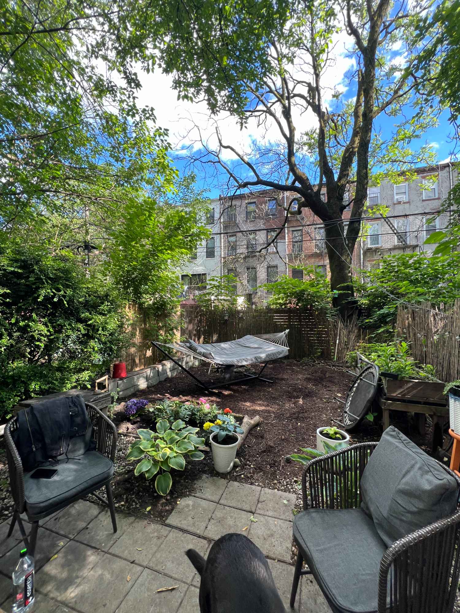 Looking for a roommate in Bedstuy! We have a beautiful, large duplex apartment in a 3 bedroom renovated brownstone! We have a private backyard, laundry in unit, 1.5 baths and lots of storage (including a basement)! The room has a walk-in closet, beautiful hard wood floors and great natural light!

Roommates would be me and 1 other girl, both of our rooms are on the lower level. 
I have a dog and 2 cats so would need to be an animal lover. <3 They are really sweet and well behaved.

Message me and we can set up a FaceTime and virtual tour first to see if it's a good fit! :) 