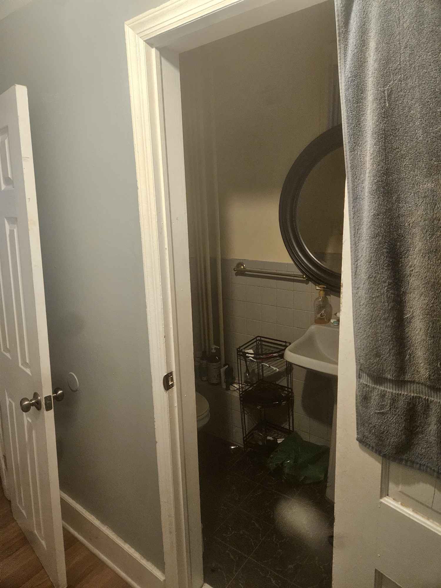 This is a good quiet area nice block in the heights section of jersey city. Typical day would be me going to work and popping in and out to care for the dog. Im fine with whatever your schedule is. You will have access to a back door for entering and leaving the property. 