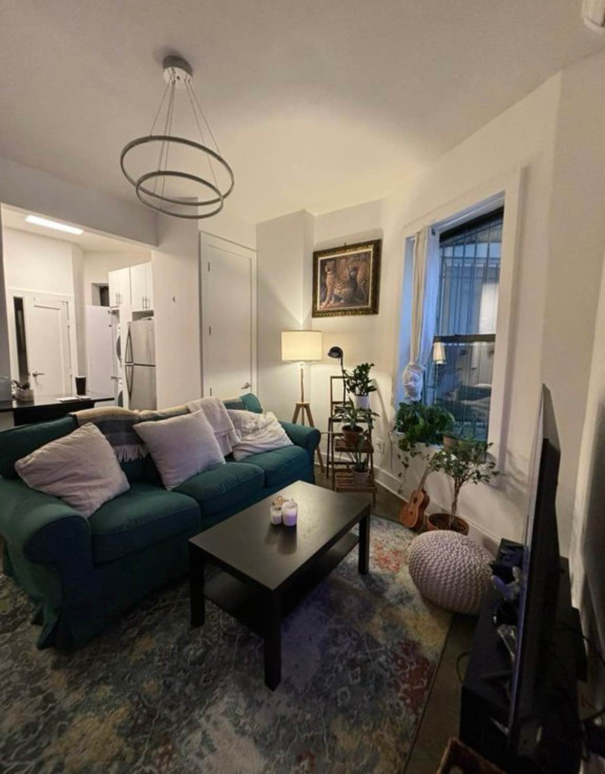 Room rental in Lower East Side, Manhattan - entire Room