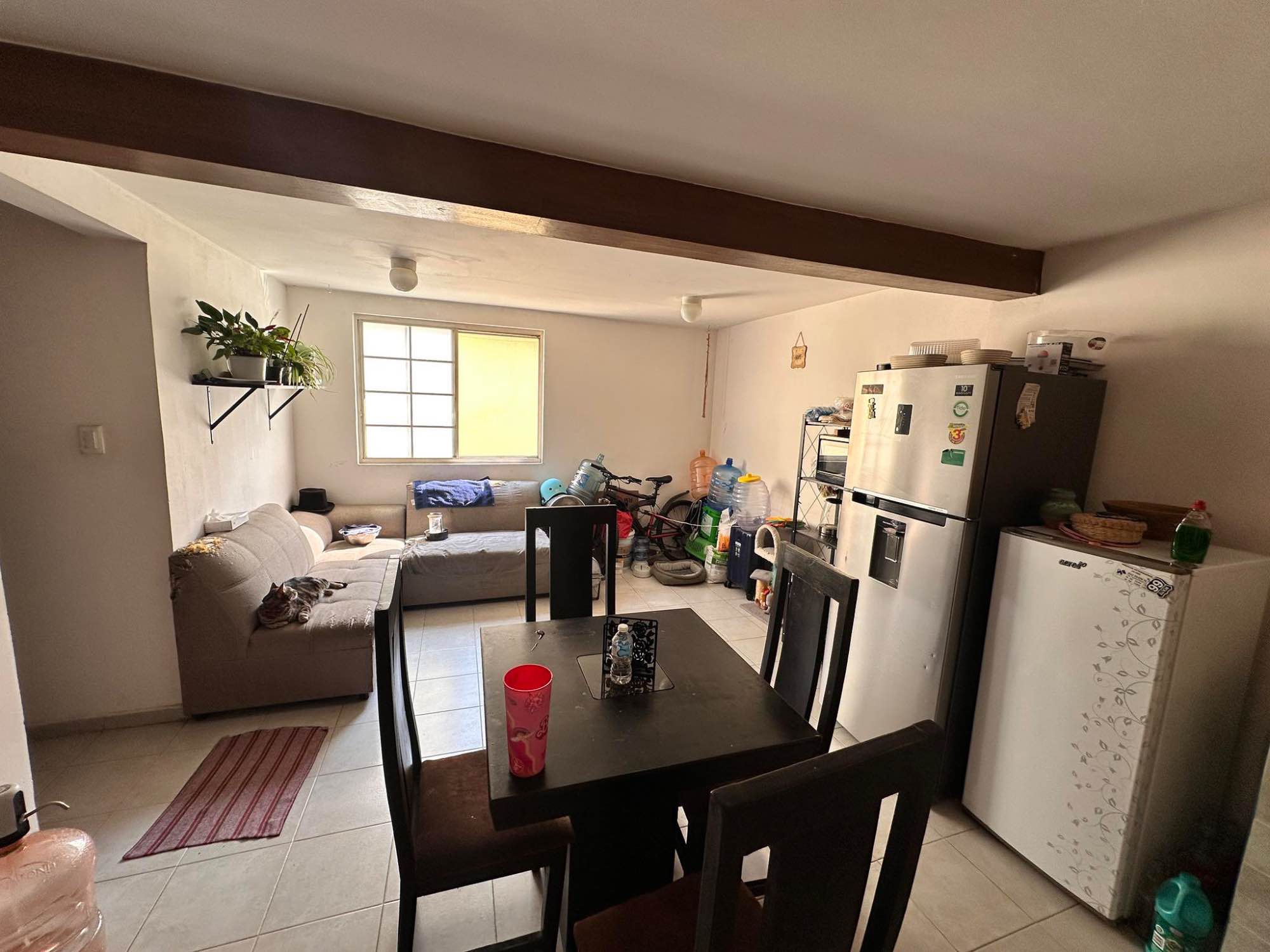 🏡 HABITACIÓN EN RENTA – SAN RAFAEL, CDMX 🏡

¿Buscas un lugar bien ubicado, cómodo y con todo a la mano? 📍 Te tengo la opción perfecta:

🔹 Habitación con baño privado en departamento amplio y bien iluminado.
🔹 Ubicada en Colonia San Rafael, cerca de:
✅ Metro San Cosme y Metrobús Reforma / Hamburgo 🚇🚍
✅ Vialidades principales: Reforma, Circuito Interior, Insurgentes.
✅ Zonas clave: A minutos del Centro, Condesa y Polanco.

✨ Extras:
🏠 Espacio tranquilo y seguro.
💧 Servicios incluidos (agua, luz, gas, Wi-Fi).
🐱 Vivimos con dos gatitos amigables.
🎶 Importante: Soy cantante y suelo ensayar en casa, así que si disfrutas la música, este podría ser el lugar ideal para ti.
🚶‍♂️ Todo cerca: tiendas, restaurantes, parques y supermercados.

📩 ¡Mándame mensaje para más info y fotos! Disponible en Diciembre. 🔑