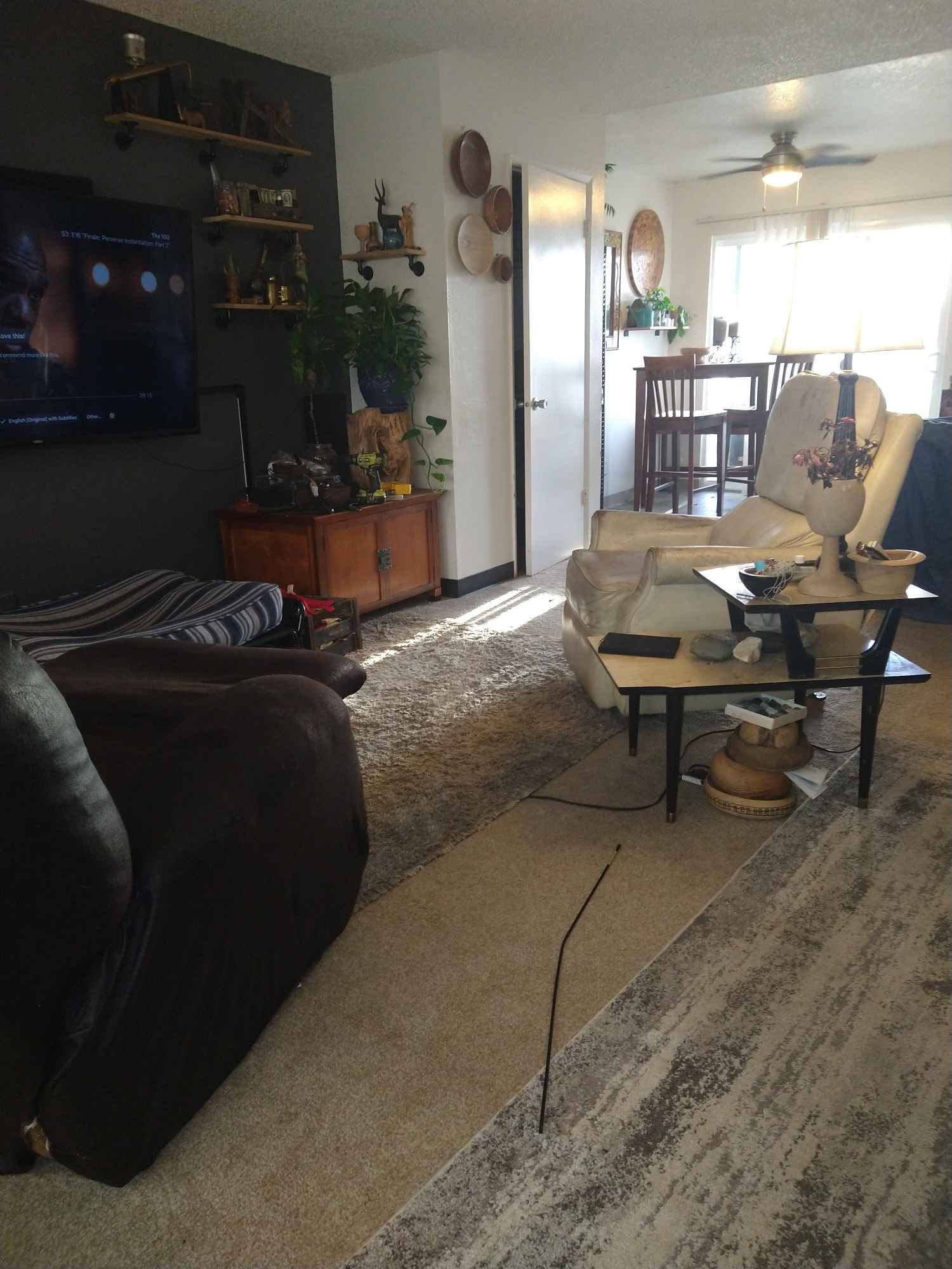 Young 50 yr old woman and her dog seeking roommate. I work a 8-5 office hour job. Only expectations are that we work to keep the place clean and pay rent on time. AND must be dog friendly. He's a rescue from the pound and is currently receiving training. He's about 50lbs, sweet, treat-loving but can be a little rambunctious at times. He stays happily and comfortably in his crate when I'm not home. There is also a very shy cat that you'll rarely see - she keeps to herself and spends most of her time upstairs in my room.