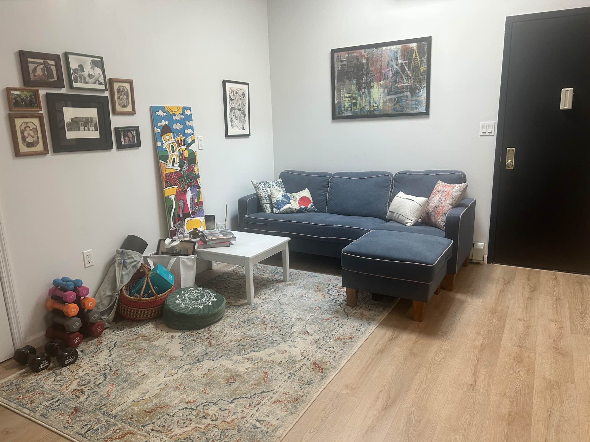I’m a full time professional female who is also a part time student. I love this apartment, location and neighborhood vibe and would love to find someone who loves it as much as I do!