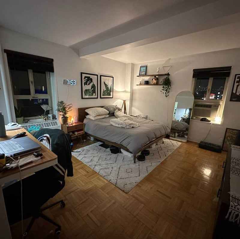 ALL MAJOR UTILITIES INCLUDED. PRIVATE BATHROOM with Bathtub. EAST RIVER VIEWS. 2 RIVER FACING WINDOWS AND 2 LARGE CLOSETS.

Very large bedroom facing east river (great water views and natural light) with parquet hardwood floors and a PRIVATE Bathroom with bathtub. 2 LARGE walk-in closets and lots of natural light with 2 windows in the room. The room has AC as well. Its the 'Master Bedroom' in the floorplan. This is a very good price for Manhattan apartment with your own private bathroom.
All utilities (Heat, Water, Gas, Electricity) are included in the rent. It can easily accommodate a sofa, a desk, extra closet, shelving and a king sized bed. Laundry is in the building and the apartment is equipped with a dishwasher. 5 min walk to east village. 10 min walk to Union Square. 20 minute walk to midtown.
The east river is across from the street to the building and has a great jogging route if you enjoy running.
Looking for someone who is not just dog friendly but dog loving and happy to spend time with Uno (my dog) if needed.

Let us know if you want to visit the apartment. Couples are okay since it has private bath with additional $200 on rent.

Very secure neighborhood with security. Very close to East Village for all the good restaurants and bars. The lots of parks with cafeteria, library, fountains, farmer's market on Sundays, basketball court, tennis court, ice skating in winters, gym and a lot of other amenities .