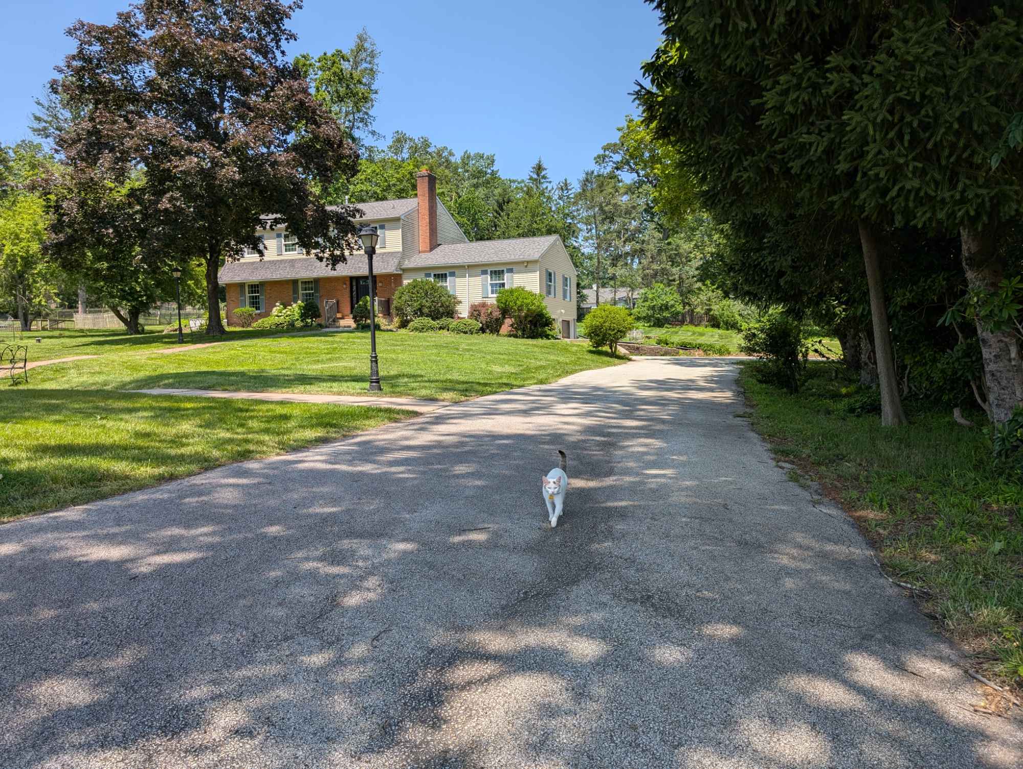 Welcome to this spacious 5,000 sq ft home on 1 acre land. Room available on the 2nd floor for rent. Can be furnished or emptied.
1st floor features foyer, living room, dinning room, kitchen; stepping out to patio are common areas. Lower level has a finished basement. Parking on driveway and could fit at least 4 vehicles.