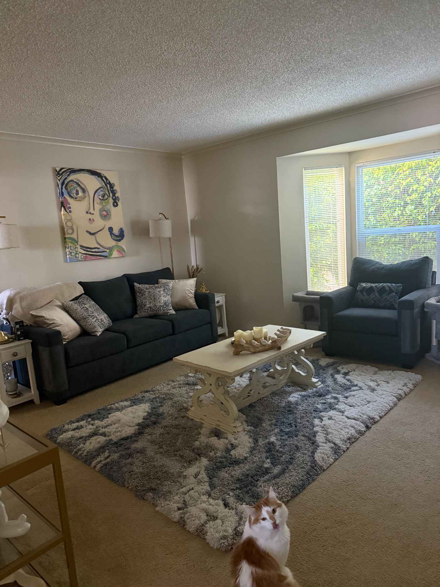 Room Available in 2BR/1BA Apartment – Sherman Oaks
Looking for a respectful and responsible roommate to share my 2-bedroom, 1-bath apartment in a quiet 8-unit building in Sherman Oaks.
The available room is private, with a shared bathroom. The apartment is comfortable, well-kept, and includes:
✅ Rent: $1,150/month (utilities & internet included)
✅ Move-in: First & last month’s rent due at move-in
✅ Furnished option: Room includes a full-size bed and television (can be removed if preferred)
✅ Comfort: Portable A/C unit in your room (no central air)
✅ Parking: Street parking only
✅ Laundry: One washer/dryer in building (I usually use a nearby laundromat)
✅ Pets: Sorry, no additional pets (I already have two friendly cats), but small caged pets or fish are welcome
About Me
I’m a gay professional who’s quiet, clean, and considerate. I value a calm and respectful home environment and hope to find someone who feels the same. I’m usually out during the day for work. My two cats are part of the family, so you’ll need to be comfortable with (and hopefully like) cats.
What I’m Looking For
A roommate who is tidy, courteous, and easygoing
Not someone who hosts frequent parties or overnight guests
No smoking or drugs, please
💡 The building is generally peaceful, though the upstairs neighbors have kids and can occasionally be a little noisy.
If this sounds like a good fit, I’d love to hear from you!
