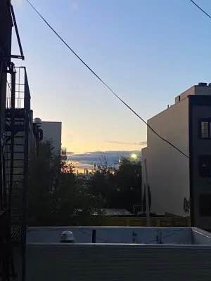 The sublet is for one month, but will have a possibility of extending. The house is a 1.5 bedroom with a cozy sleeping space and a large room that I call the executive suite, with lots of space to work, stretch, or lounge around. The real stunner—there's a large private roof terrace with a hammock, a kind of rusty but working charcoal grill, and views of the city. I have a dog now so she's in some of the photos, but she won't be around for the sublet and neither will I. You get the whole place to yourself but have to take care of the plants. 

The house is in Brooklyn's most fun neighborhood, Bushwick—lots of great bars and restaurants, vintage stores, and murals all over the place that make for a great stroll. The L train (subway) is a 7-minute walk, and that'll have you into the city in 20 minutes. The JMZ train is a 12-minute walk away and takes you over the Williamsburg Bridge for amazing views. The neighborhood won't disappoint.

The apartment is one of four in the building. It's above a bar, which is great for watching sports and getting a chicken sandwich, but you will hear the music at night. The bedroom is on the quieter side of the house. It's a second-floor walk-up.

The space is fully furnished and tidy. There are lots of books and knicknacks, but all personal and precious belongings will be packed away. I can provide clean sheets and towels if needed. All utilities will be included in the cost but I have to limit electricity to up to $200, so if it goes over, I'd need to get that back (I usually spend less than that every month).

The sublet will be for one month to start, but I may need to extend, so there may be an option to stay longer.

I'd request payment upfront for the month plus a $300 refundable deposit. No background check or other fees. If you smoke, please do it outside only. There's a whole porch for it. 

Pets are allowed. I have a dog who will not be there for the duration of the sublet, so another pet would be fine. No breed restrictions, but I'd like to know because pets are awesome.