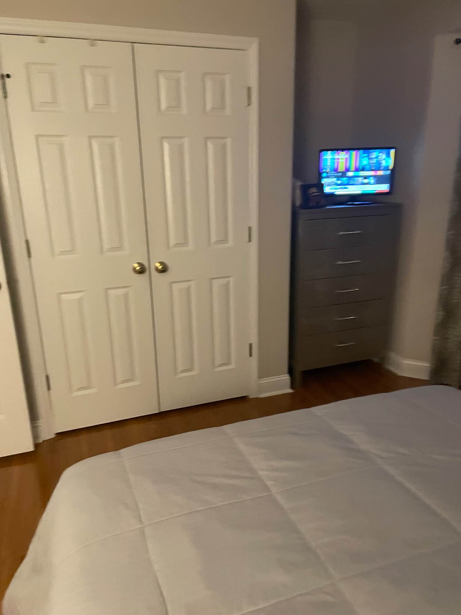 I work from home, and I have 2 cats but you would never know it. I rarely have company and  keep a very clean home.