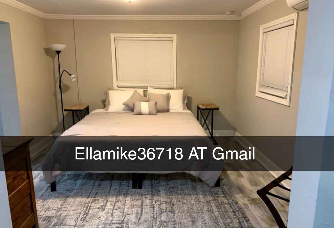 I have a private Studio, FULLY FURNISHED/ ALL UTILITIES PAID/NEWLY RENOVATED with private (back) entrance, and you'll easily make your way around the neighborhood on foot, bicycle, or using a car.
Furnished with everything in the picture, Negotiable if furniture is not needed, rent can be reduced instead. There are also plenty rideshare options to take advantage of. Flexible leasing options... month to month, 6 months, or year.
Fully stocked Kitchen (stove, refrigerator, microwave).
-Laundry room (Private)
-Comfortable accommodations including brand new memory foam Leesa mattress, west elm couch, 40'' TV (netflix, amazon and hulu)
-This is an apartment that is located on the backside of the house, it is attached. It's a separate space and with a separate yard. So you have nothing to share.
-Private driveway for your car.
-Large outdoor dining table, perfect for eating outside on a nice night or having your morning coffee beneath our pecan tree.
-Community driven neighborhood, safe and walkable.
-Washer/Dryer Included in unit.