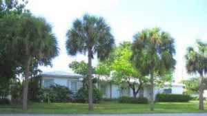 Fun, laid back, from the Midwest, reliable non-smoking male professionals/ entrepreneurs for similar...
Doing a kick-ass swim/kayak team relay race in the Florida Keys again this year. https://m.youtube.com/watch?v=PBxm3t8C5s8
Check out the link and hit us up if you might be interested and are a strong swimmer.
A few interests are fitness, sports, cooking, outdoors, adventure, travel, movies. No pets or indoor smoking please. Very close to Barry University. 10 minutes from Miami Beach, 5 miles from Downtown / Brickell / Wynwood so it's fast to get to where all the fun is. 20 minutes from Ft Lauderdale airport. Looking for other responsible guys. Having some common interests is great. Friends is even better.
Literally HUNDREDS of people are typically looking to become roommates, please tell us about yourself.