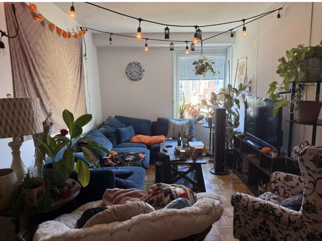 Very spacious room with STUNNING view, has incredible sunsets as well. Beautiful sunlight from the large window during the day and incredible sunsets in the evening. Huge living room space with beautiful plants, and plenty of room to sit. Very nice kitchen with plenty of storage space. You would be sharing the bathroom with me, the other roommate has their own private bathroom. Your private closet is in the livingroom.
2 bedroom flex. (3 roommates)
Complex has great amenities including laundry room, grocery shop, pool/gym (not included), dry cleaner, and more. Beautiful area outside to sit right on the water, I absolutely love living here! M34 bus has its first stop here so you can always know exactly when the bus will leave, making it convenient to get across town.
Hi! I’m Julia, I just turned 32. I am vegetarian and love Bravo, scary movies, and learning French. I am open, respectful, and understanding. I would ideally like someone who I could be friends with but also completely get if you prefer your space. Looking for someone who wants to stay a minimum of 3 months, but this can be negotiated if it is the right fit. I petsit frequently, I want to find someone who is genuinely happy to be around dogs/comfortable with them being in the livingroom. I would prefer that you are vaccinated :) Looking for someone who is also respectful with the common space and cleans up after themselves/takes turns taking out trash, etc. Please don’t hesitate to reach out or ask me any questions!