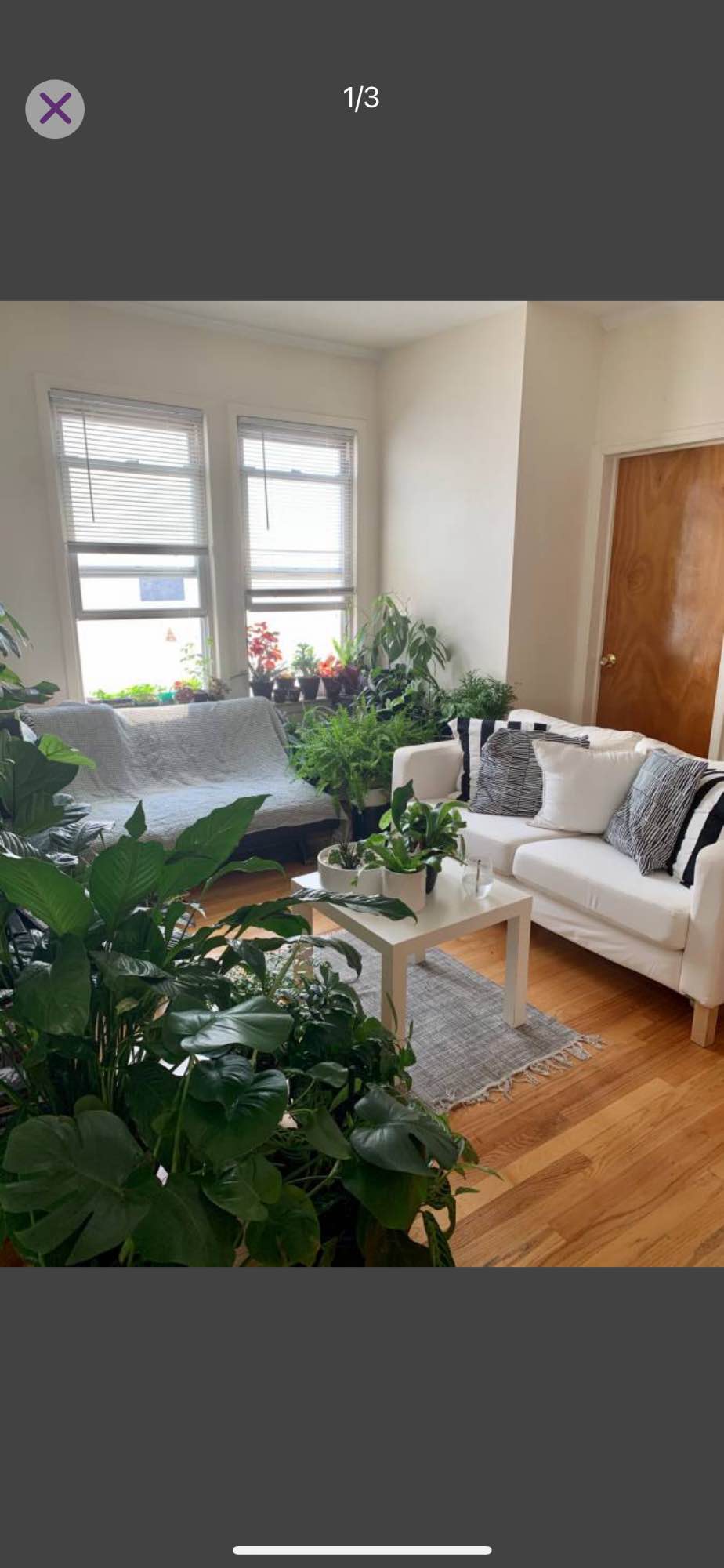 Move-in date: Nov 1
Rent: $1000/month (includes all utilities: heat, gas, electricity, water, and internet!)
Deposit: 1 month
About the apartment:
- Located on the border of Sunnyside and Woodside
- Spacious 4-bedroom apartment in a great location.
- Just 1 block from 52nd St–Lincoln Ave station (7 line). Only 15 minutes to Midtown Manhattan.
- LIRR Woodside 61st station within a walking distance.
- Grocery stores (including H-Mart), laundromats, pharmacies, cafes, gym, and library all nearby — everything you need within walking distance.
About the room:
Private room with a full-size bed frame, medium-sized closet, and two windows for great light and air flow.
About the household:
The apartment is shared by women in their 20s–30s who work full-time. Everyone has their own routine, so the home stays peaceful and clean during the week.
We’re looking for someone tidy, respectful, and responsible — someone who’d be comfortable sharing a home with other women and values a calm living environment.
House rules:
No parties, smoking, drugs, or pets.
About the lease:
I’ve been leasing this apartment for years. Since one of us is moving out, we're looking for someone to take over. We prefer someone long-term. Minimum 6-month stay preferred.
If this sounds like a good fit, please send a quick note about yourself (what you do, your schedule, move-in date, and how long you plan to stay), and we can arrange a viewing!