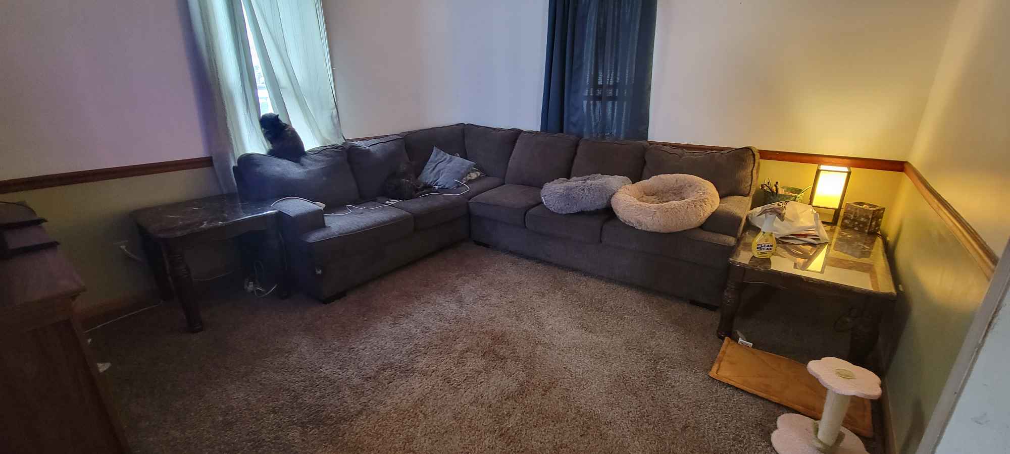 A nice neighborhood with close drive or walk distance between stores and gas station. A couple blocks from a school.
On my street there is a lot of retired or family oriented households.
In the summer there are street events as well as kids enjoying the outside.
I, myself, work several days a week outside the home. I also have pets that reside 100% in the house.