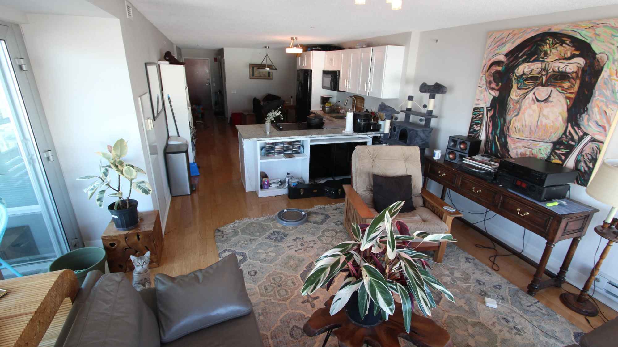 Beautiful 14th Floor Apartment in downtown Evanston. 15 minute walk to beach. 2 minute walk to NW campus. Hot tub, pool, and gym in building. Rental season is flexible for school year. Grad students welcome. 1 door down from trash chute room, with recycling and compost. Looking forward to meet you!