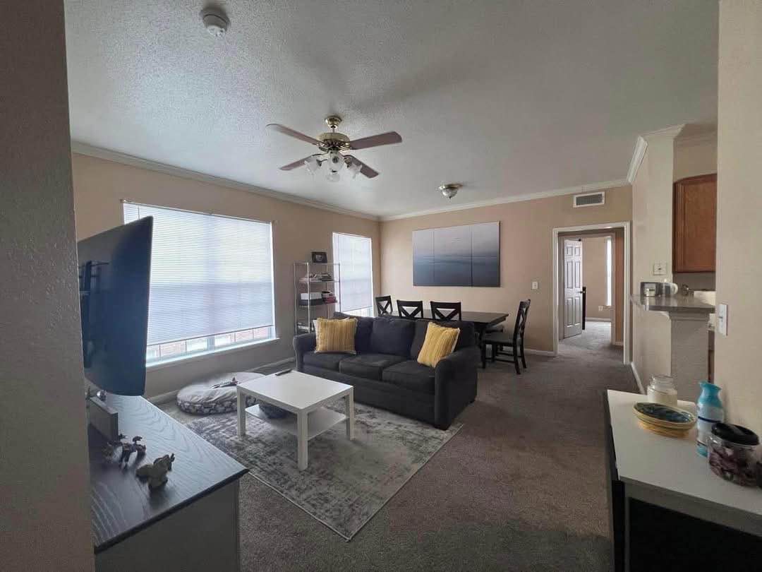 Hello I Have a furnished room for rent and looking for a roommate. It can come empty as well if your prefer unfurnished. It’s a nice apartment located about 10 mins from IAH airport, right off of beltway 8 close to 59. Has a full size washer and dryer in unit. Almost private bathroom besides sharing it with guests if any. There is some storage space available and an in home gym. Rent will be $650 a month + deposit, all bills included, is negotiable. I am looking for someone that is responsible for their own portion of the rent, Someone friendly that is able to communicate. I have a small/medium friendly dog, a Schnauzer mix. I can possibly discount the rent if you are willing to look after my dog while I travel. I am flexible and willing to work with you. I have a daughter who comes over every other weekend. I’m also ok with single parents with kids. I am a single male, work a lot, clean and tidy.
Please let me know if you have any questions or would like to stop by to see the apartment. It is available for move in immediately.
Hola, alquilo una habitación amueblada y busco compañero/a. También puede venir vacío si lo prefieres sin muebles. Es un bonito apartamento a unos 10 minutos del aeropuerto IAH, justo al lado de la circunvalación 8, cerca de la 59. Tiene lavadora y secadora. El baño es prácticamente privado, aunque se comparte con invitados si los hay. Hay espacio de almacenamiento disponible y un gimnasio. El alquiler es de $650 al mes + deposito, con todos los gastos incluidos, y es negociable. Busco a alguien que se haga cargo de su parte del alquiler, alguien amable y con buena comunicación. Tengo un perro pequeño/mediano, una mezcla de schnauzer. Puedo hacerte un descuento en el alquiler si estás dispuesto/a a cuidar de mi perro mientras viajo. Soy flexible y estoy dispuesto/a a colaborar contigo. Tengo una hija que viene cada dos fines de semana. También me gusta trabajar con padres solteros/as con hijos. Soy hombre soltero, trabajo mucho, limpio/a y ordenado/a. Si tiene alguna pregunta o desea visitar el apartamento, no dude en contactarme. Está disponible para mudarse de inmediato.