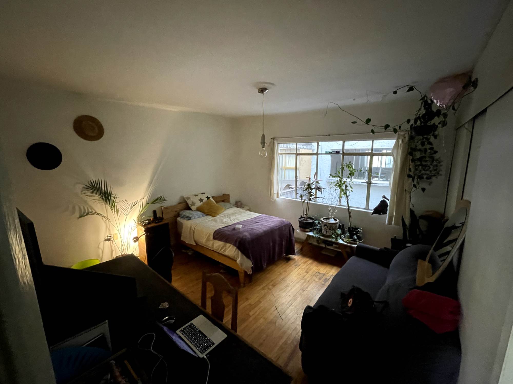 Tenemos nuestro apartamento en la glorieta de iztaccihuatl con mucha vegetación, la zona es muy amiglable con cafeterias y restaurantes y tiendas locales. Con el parque méxico a do cuadras, llena de actividades y siempre bello para un paseo.
We have our apartment in the Iztaccihuatl roundabout with a lot of vegetation, the area is very friendly with cafes and restaurants and local shops. With Mexico Park two blocks away, full of activities and always beautiful for a walk.