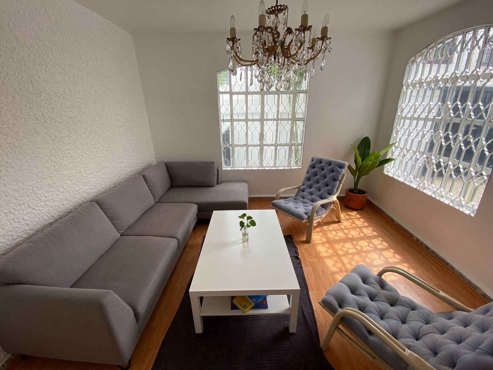 ¡Buscamos roomie para casa con jardín en La Escandón!🏡😄👋

¡Hola, se busca roomie! Tenemos un cuarto privado amueblado disponible en nuestra casa en la Escandón. 📍Es una casa hermosa. Tiene jardín, azotea, mucho espacio y hasta cuarto de ping pong 🏓. A solo 3 cuadras de la Condesa en una cerrada tranquila. 🌳El cuarto es espacioso, con baño compartido (3 baños para 4 cuartos), y mucho espacio para disfrutar. La renta es de $13,500/mes 💰para entrar el 1 de septiembre.

Buscamos a alguien que ame divertirse 🎉, que sea respetuoso y tenga una vibra comunitaria positiva 😁, que ame el orden 🧹, y sobre todo tenga buena onda. Si eres de los que vive y deja vivir 🕊️, este es tu lugar.

Si te interesa por favor, mándame un mensaje privado. 🙂