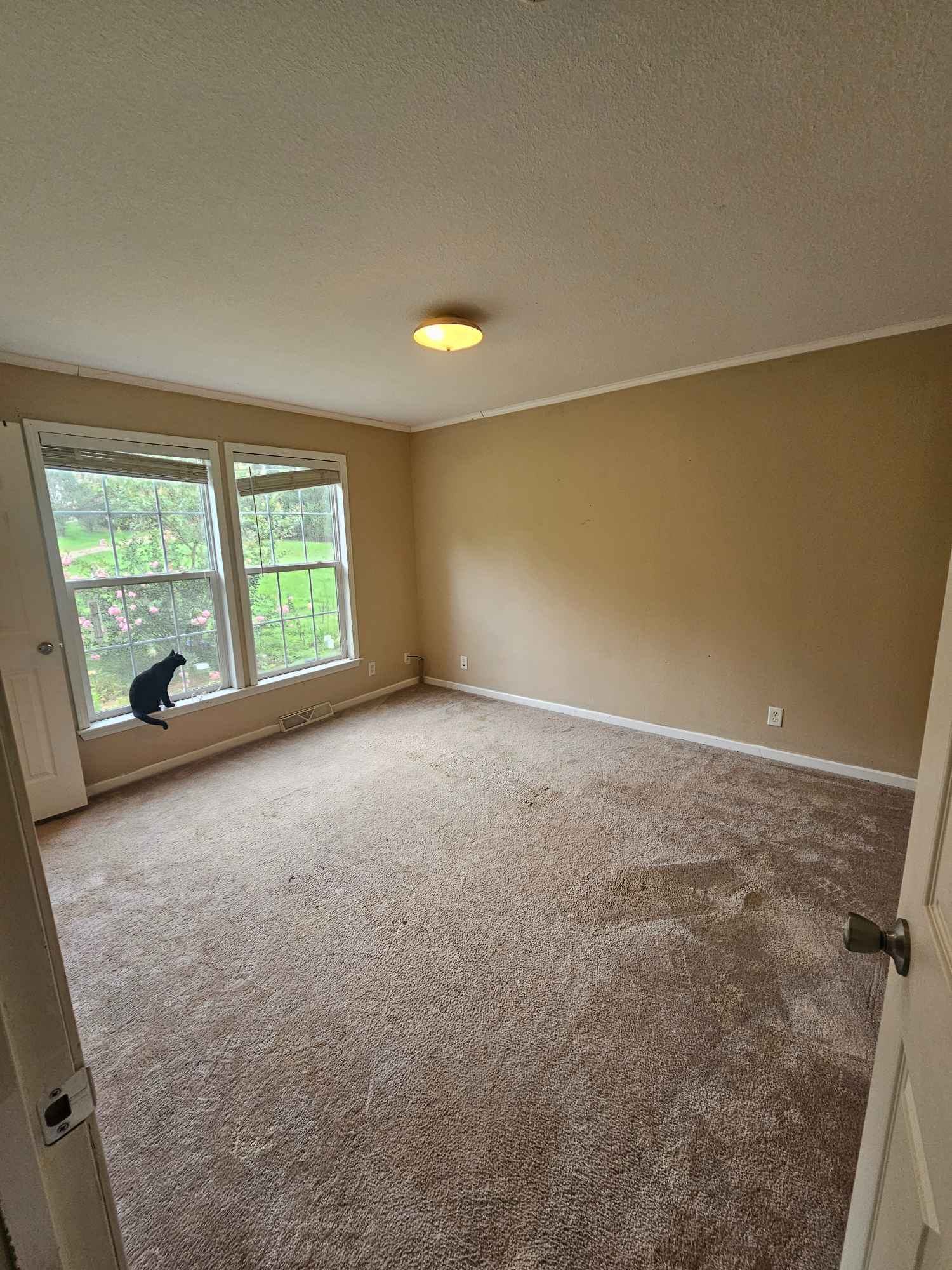 Looking to rent the last bedroom in my house. It is a sizable room located minutes from Charlotte. There is a shared bathroom with another tenant. There is a private pond, large front and back yard, large kitchen with a dishwasher, microwave/oven/airfryer, large deck, personal fridge, friendly, private residence overall.