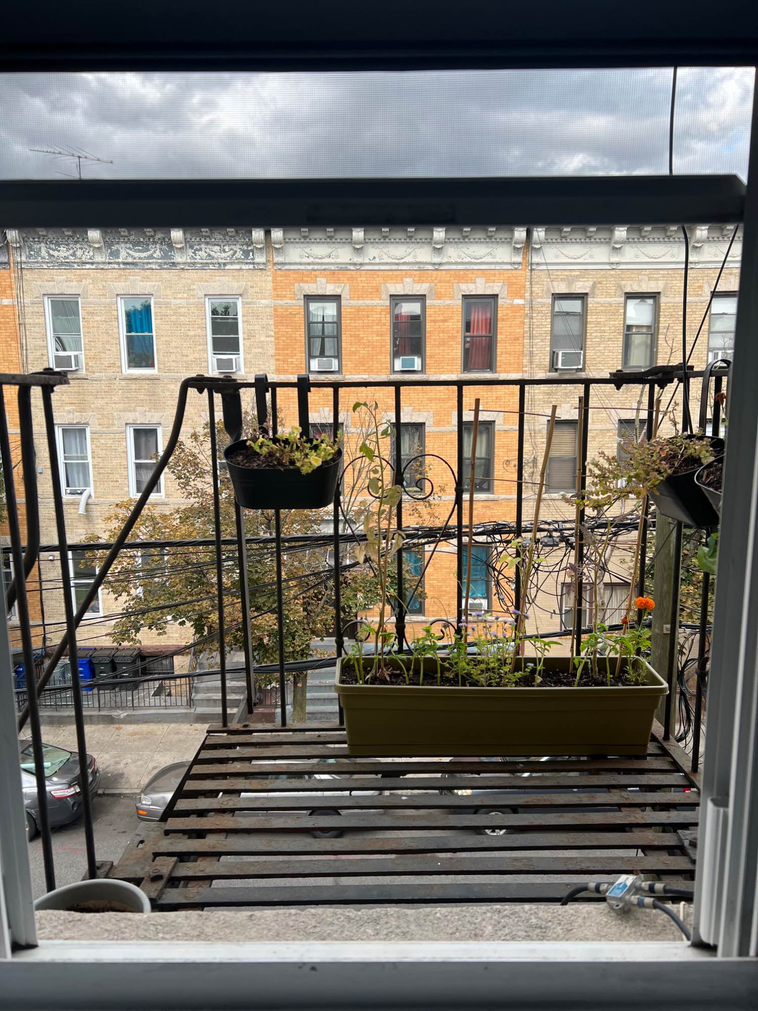 I'm looking for a subletter for my room in Ridgewood starting October 24th through November (the dates are flexible)! It's a three bedroom apartment so you will be living with my two roommates, and two really cute cats! The apartment is in an amazing location with lots of coffee shops, restaurants, bars, and grocery stores nearby. Appliances are very new and the place is in great condition. We have a big living room and kitchen and lots of storage space!
-$1,200/month including utilities
-3 bed, 2 bath
-dishwasher
-lots of natural light!
-central heating and AC
-laundry in building
-very close to the M and L trains
-above a bakery!
Message me with any questions or to set up a time to come see the place and meet us!