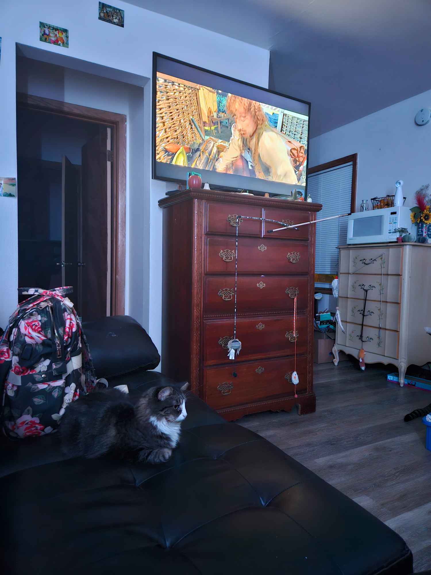 I will take the living room, and you can have the private room. Shared bathroom. I am nonbinary and I have 2 cats. I am fostering a snake until June-ish. Move in date is very flexible! Room comes with dresser, TV, the rent includes wifi and utilities. 