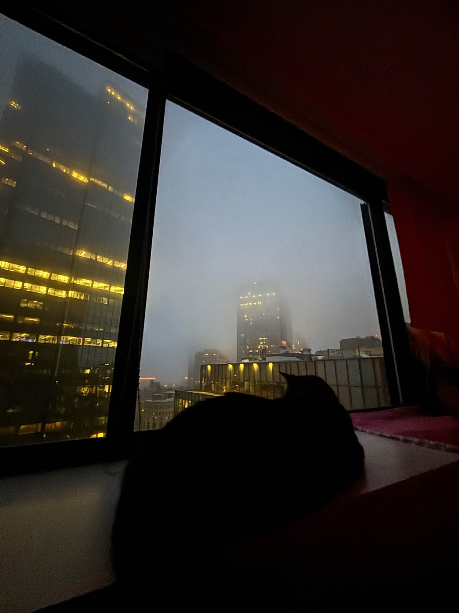 Spacious Private Room Available in Luxury Downtown Boston Apartment – Move in September 1st (Early move-in possible!)
Hello everyone!
I’m searching for someone awesome to take over my lease starting September 1st, with the possibility of moving in a bit earlier if you need.
🗓 Move-in: ~September 1, 2025
💸 Rent: 1,810/month (includes heat, A/C, and water – just pay electricity & internet)
🚇 Immediate access to all train lines – just a 2-3 minute walk,
About the Apartment & Building:
The room is very spacious, filled with natural light, features a private bathroom, and offers stunning views of the Boston Harbor!
The building has great amenities: 24-hour concierge, gym, indoor heated pool, complimentary yoga and fitness classes, fun social events, a resident lounge, co-working spaces, and multiple common areas for studying or relaxing.
Parking is available in the attached garage (for an additional fee).
Laundry facilities are on every floor (pay per use).
Pet-friendly!
You’ll be sharing the apartment with two wonderful young professional women who are friendly, tidy, and make fantastic roommates. Shared spaces include the kitchen and dining area, perfect for making meals or catching up after work.
This really is a rare opportunity to join a beautiful community in one of Boston’s best locations. If you have any questions or want to come see the place, please don’t hesitate to reach out! I’m happy to provide more info or set up a tour.
Looking forward to hearing from you!