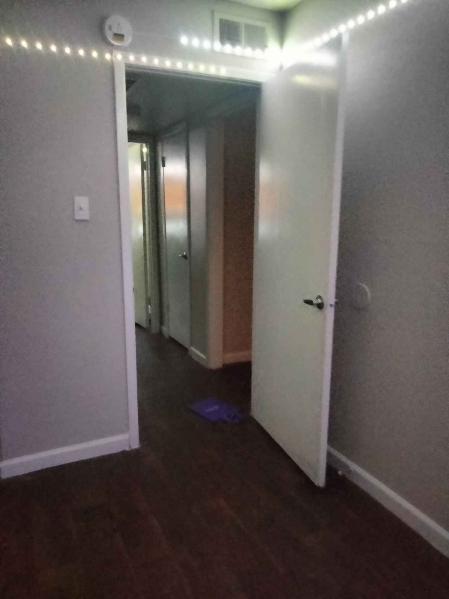 I'm a Home body I work 6days a week when I'm not home I'm out at the studio with my band practicing I got two cat and a handicapped dog 