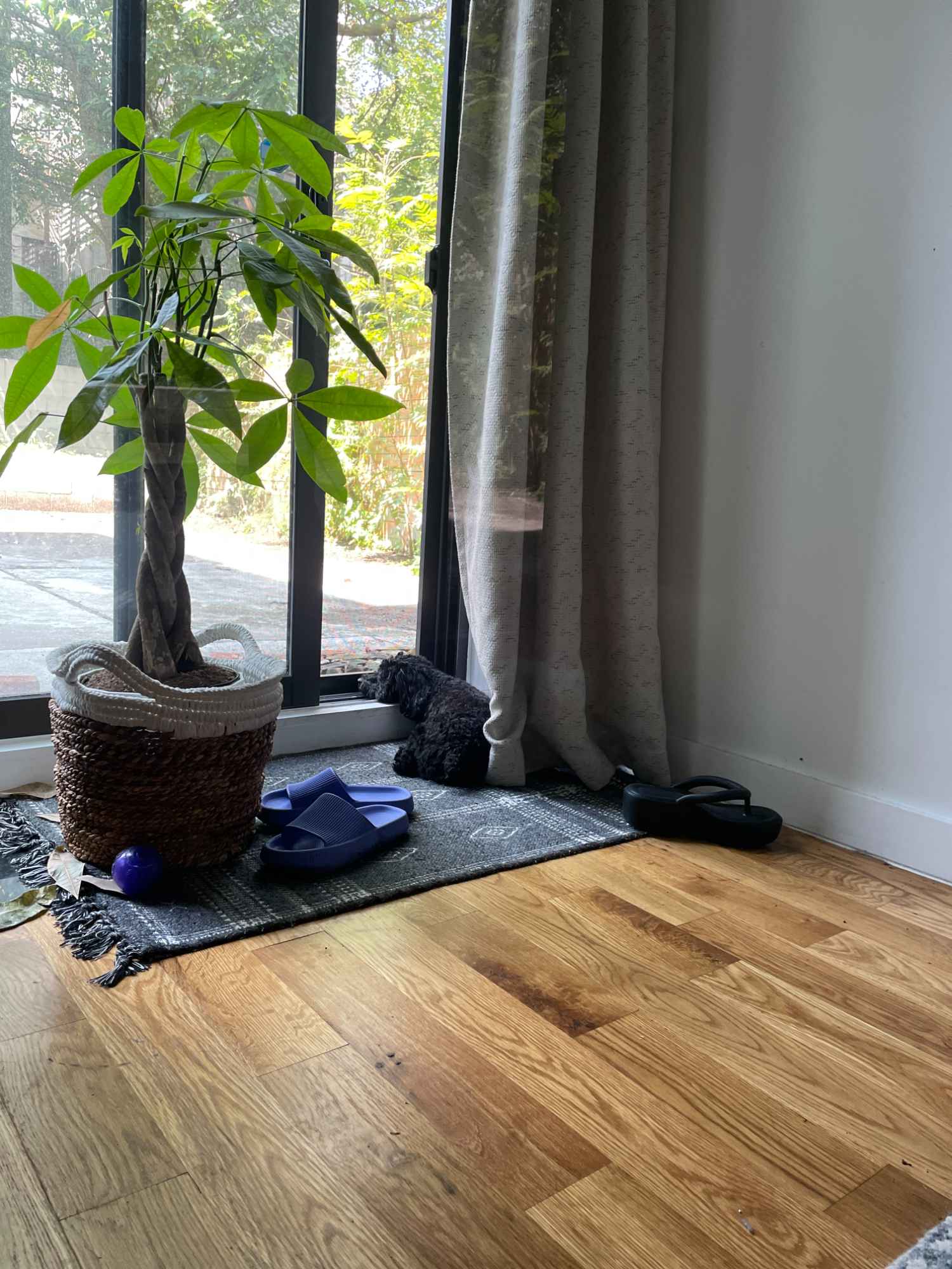 I like to spend my days off outside with my dog, working out, watching movies, or out and about with my friends. I am a late morning riser because I work at nights (around 10 am usually) and I like to relax with a cup of coffee in the mornings before doing anything. The apartment is very quiet but there is a ton of stuff in walking distance so I love walking to get coffee, food, or drinks :)