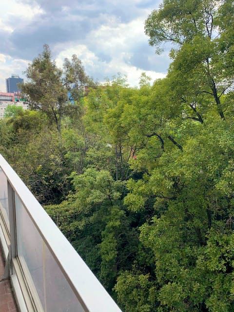 Hola a todos!
Rento recámara sin amueblar en el corazón de la Condesa, a una cuadra de Parque México. Cerca de vías de acceso como Nuevo León, Sonora e Insurgentes. Cerca de Ecobici, MB y un Walmart Express para hacer el súper.
El departamento ya está amueblado pero si quieres sumar algo, con gusto será bien recibido.
En el departamento viviríamos un total de 3 personas y sólo compartirás baño conmigo. Es muy importante mencionar que el depa cuenta con balcón y que nos da unas vistas increíbles y vuelve el entorno súper iluminado.
Cuenta con opción de estacionamiento con un costo adicional. La renta es más servicios.
Está disponible a partir del 1 de julio y se pide un depósito por la misma cantidad que la renta.
Buscamos a un roomie que sea limpio y responsable con pagos