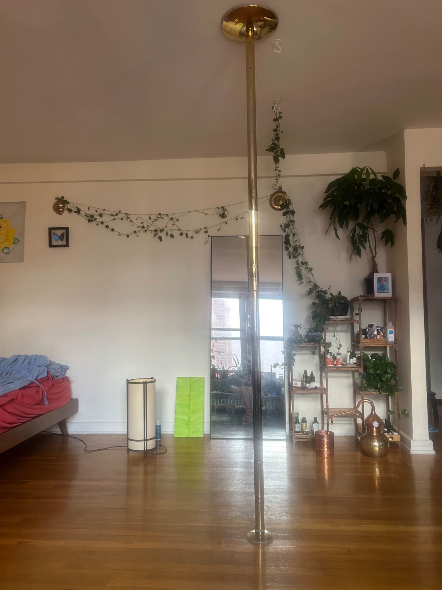 This studio apartment is the coziest place you could stay this winter. It gets beautiful sunlight on a residential block. This is the only apartment building on a tree and house-lined street. There is laundry and an elevator in the building. I have Bluetooth speakers, Roku Tv, Yoga mats, blocks, jumprope and straps. This apartment also features a pole for dancing which you are welcome to use. It is the perfect place for dancers and athletes to train. The bed is extremely comfortable and the water pressure in the shower is fantastic. It’s close to the Q train at Cortelyou and the B at Newkirk. 