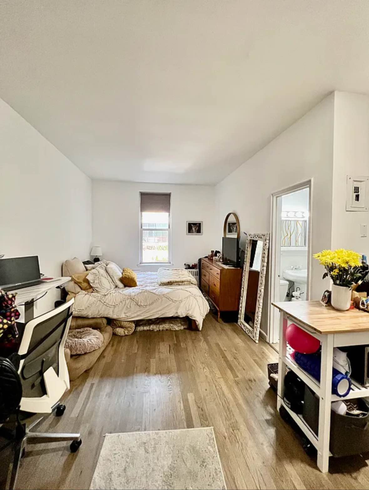 Room rental in Williamsburg, Brooklyn - entire Room