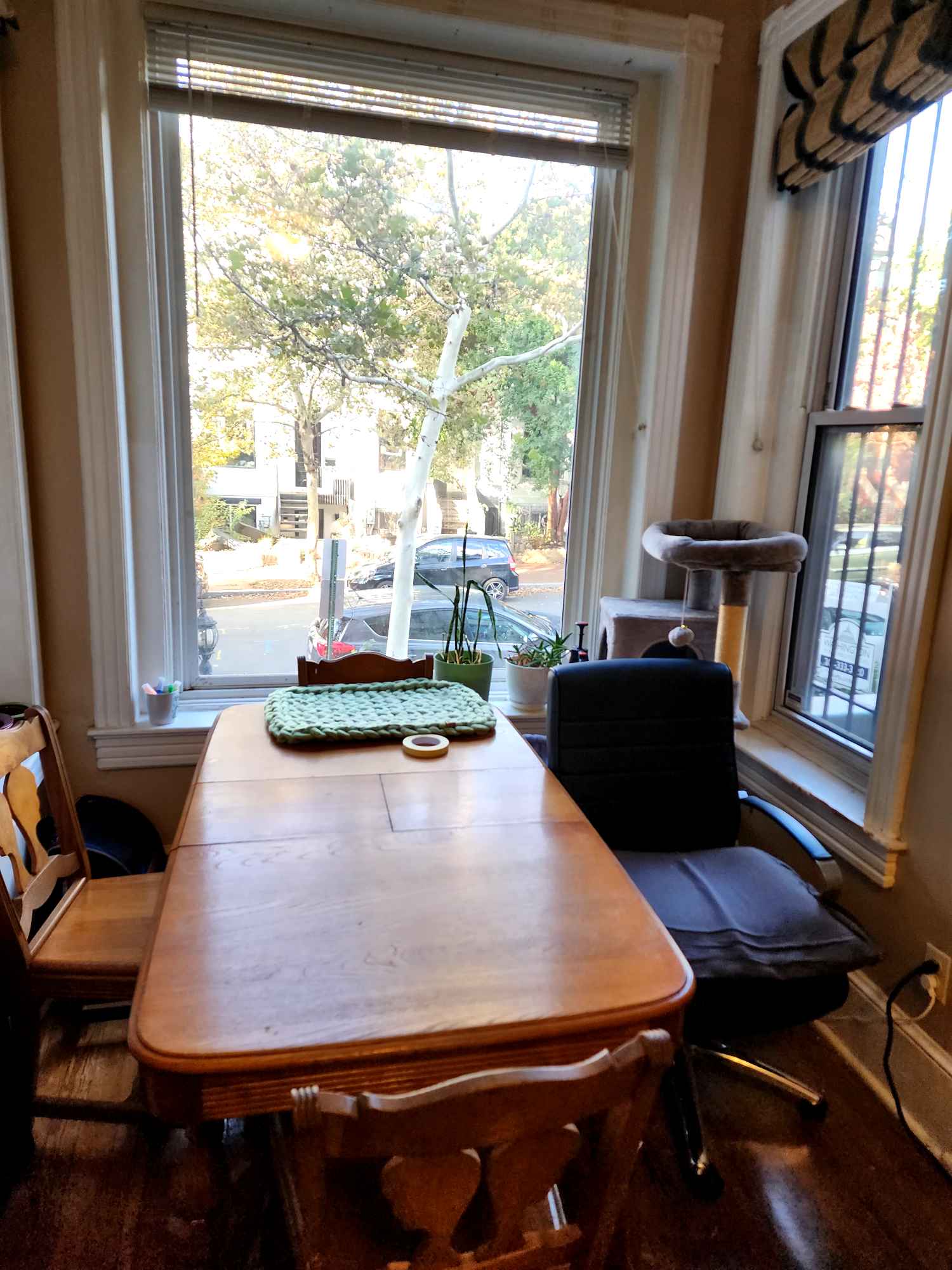 *4-bedroom, 2.5 bathroom home
*Shared kitchen, living room, and laundry in-unit
* Quiet street in a great neighborhood — walkable to coffee shops, restaurants, and public transit
* Central AC/heat
*No additional pets, please: one friendly cat already lives here.

About Us

We’re three professional women in our late 20s–30s. One works fully remote. Two have hybrid schedules.

We value a clean, peaceful home and open communication. We enjoy hanging out occasionally but also respect everyone’s personal space and downtime.

We’re looking for a considerate, reliable roommate who’s tidy in shared spaces and comfortable living with a cat. Ideal for another working professional or grad student.