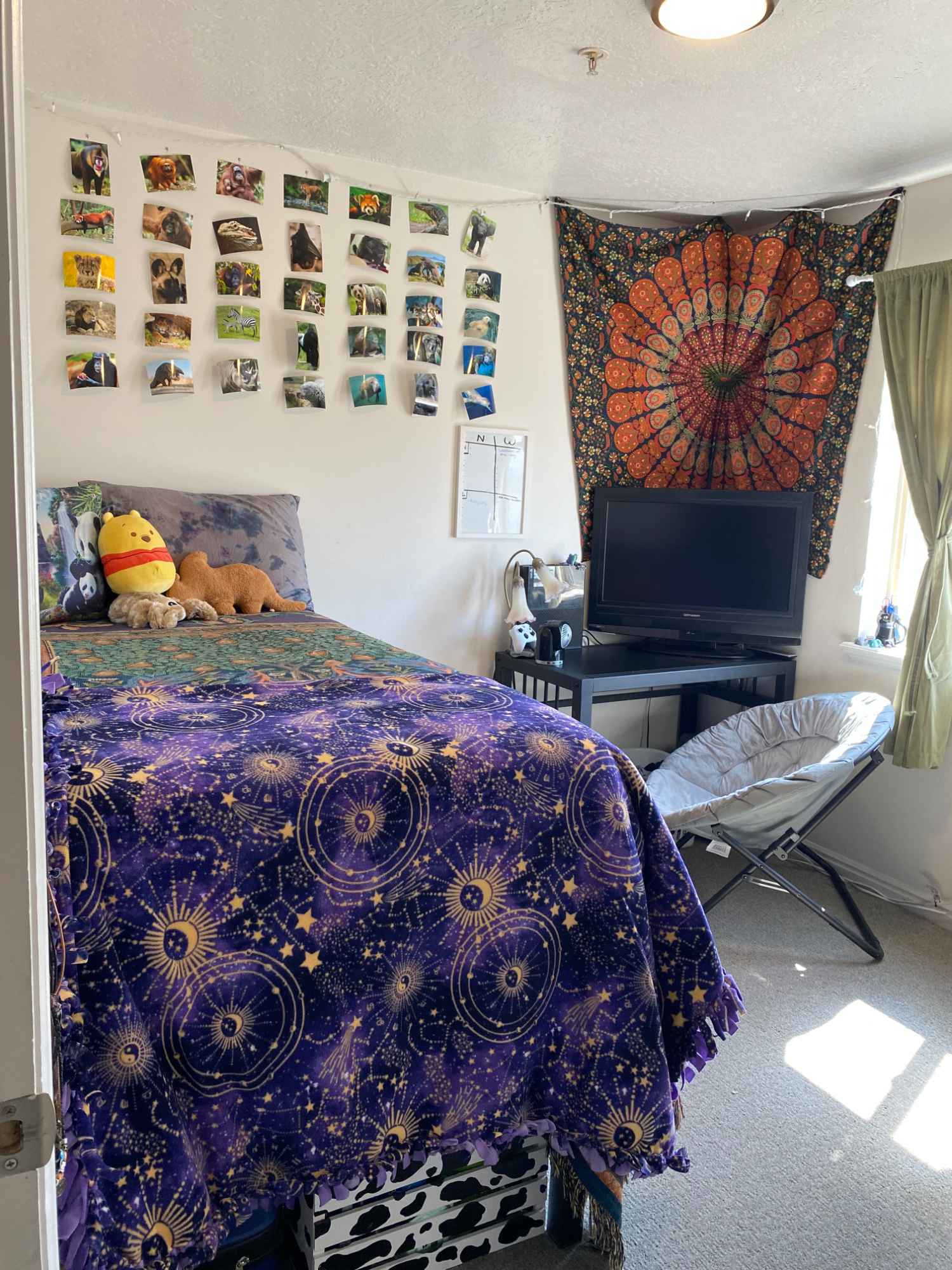 Welcome to your move-in ready home that’s ready to go immediately. Swoop in before the end of August! Furnished with in-unit laundry and across the street from UVU if you have no car. If you do have a vehicle then the parking pass is $30 per month. I loved living here and management is amazing! Service animals and ESAs welcome at no charge. I have paid August rent!