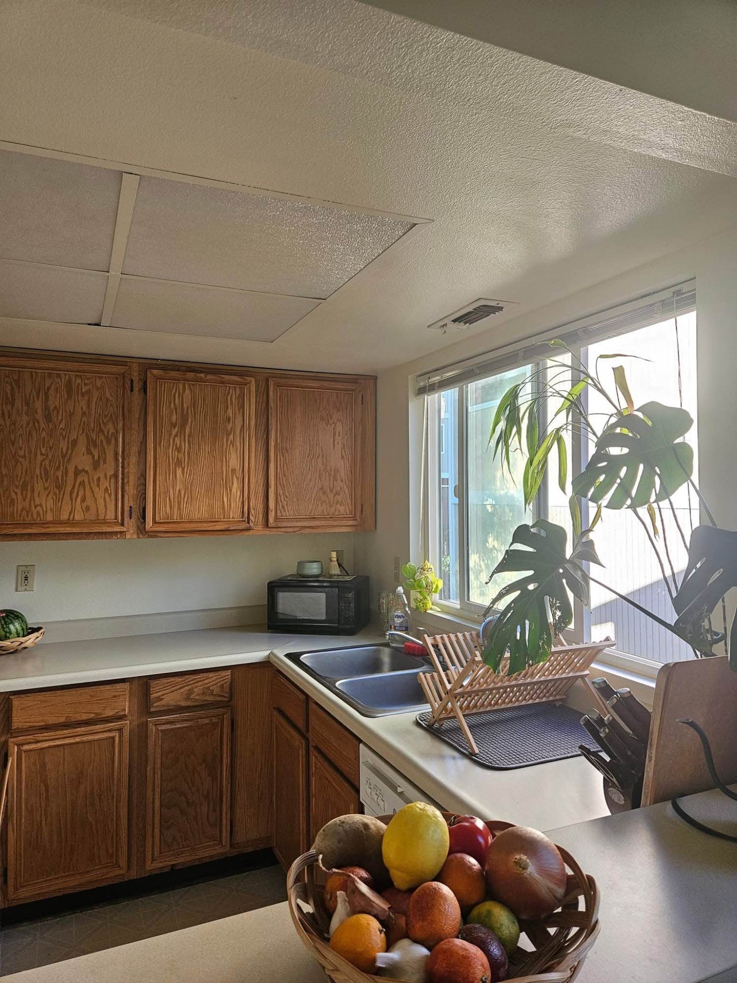 Hi, my name is Ella, and I’m looking for a new respectful roommate to share my apartment here in Grass Valley. I’d describe myself as an ambivert—I enjoy my alone time, but I also like going out and having friends over occasionally. I encourage my future roommate to feel comfortable having guests over too! (The only boundary I set is that significant others are limited to weekends or one night at a time.)

The apartment is a cozy 2 bed / 1 bath with a lovely balcony/deck overlooking beautiful trees. Rent is $900/month (not including pet fees, utilities, and Wi-Fi). The room will be unfurnished, as well as I am working to replace my old roommates' furniture in the shared living spaces. I also have a sweet 4-year-old cat who usually gets along well with other cats and with dogs after a proper introduction.

If you’re interested, please message me here for more details. Thanks! 🏡✨ Move-in date October 1st.