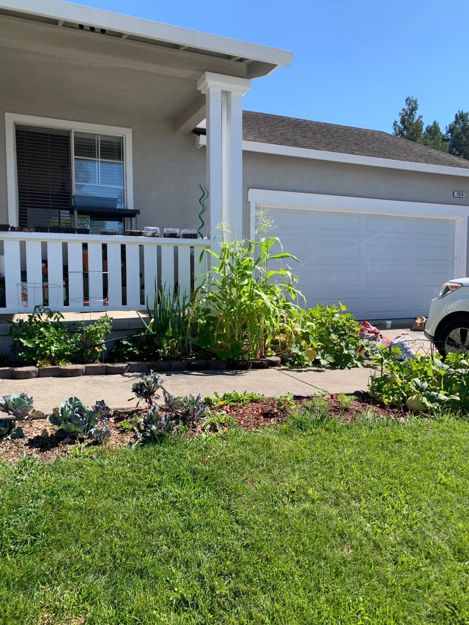 Inviting and sweet house right by southwest community park. Very quiet street, nice backyard, cool (air conditioned) sweet room with your own bathroom. 

The house is 3 bedroom 2 bath, nice shared kitchen and living room space with washer and dryer in home.