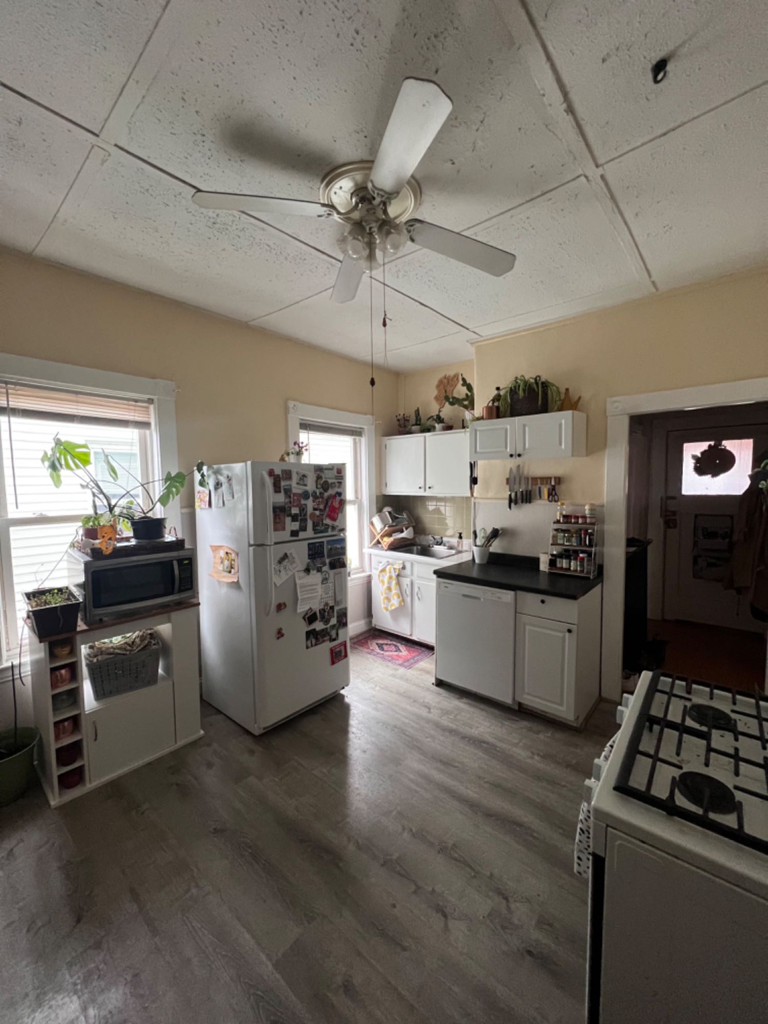 Davis square apartment roommate search!
Seeking a roommate, lease starts September 1, 2024.
September 2024: $1400 room available in Davis Square
Move-In Dates:
September 1, 2024 - 1 year lease
Looking for:
• Women identifying or NB persons preferred
• Age between 24 to 30 years-old
• Working professional and/or student
• Non-smoker
• No couples ( Room is for one person only)
About Apartment Unit:
2-bedroom, 1 bath apartment unit in family home (2nd floor apartment unit), located in Davis Square, Somerville. This is a perfect location for someone commuting to downtown Boston, Cambridge, or North of Boston & is work-from-home friendly! Located conveniently 5 minutes from red line - Davis square & multiple bus stops.
• Coin laundry in shared basement.
• Street parking is available. No parking on premises.
• In unit heating, ac units used in summer
• Access to shared backyard and patio
• Steps from restaurants, shops, movie theatre. 5 min drive to Star Market.
Monthly Cost:
Rent is $1400 per month (Gas, Electric, and Wi-Fi utilities are not included and usually do not exceed $100 in the height of the winter/summer).
Initial Move-In Cost:
First & Last month's rent + $1400 security deposit. (Total: $2800)
We split $2800 between the both of us.
Room Details:
The available room is on the second floor of the house. Lovely room with closet space, 2 windows for natural sunlight. Hardwood flooring in the room and all throughout entire Apartment Unit. Room can fit Full size platform bed, desk and dresser easily.
• Room unfurnished
About Me & Living Environment:
I am a mid 20’s working professional who works in travel. I work a hybrid schedule, usually 2 wfh days a week. I love museums, thrifting and traveling. I am decently social but also love a good night in with tv/ a book. With my current roommate moving out of state, I will be working on refurnishing the kitchen & the living room. Bonus if you bring some things with you! I like living in an environment that is clean and responsible, but not uptight. Creating a friendly and respectful atmosphere is a must!
• Im not a massive partiers but occasionally will throw gatherings/okay with it.
• Social drinker, liberal, & would love to be friends with my roommate, but also live our separate lives
• We have a cleaning schedule & distribute chores & responsibilities evenly - I’d love if you are a good team player & work to maintain a calm & clean-living environment