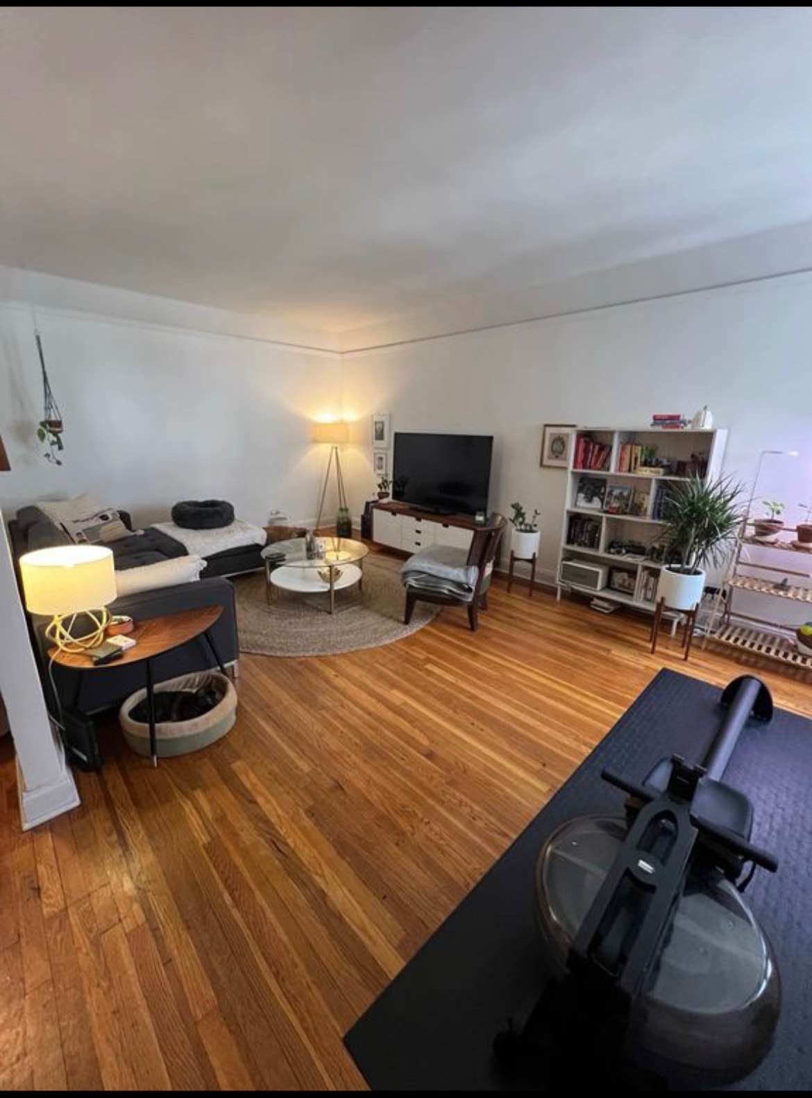 A cozy 1 bed, 1 bath apartment with hardwood floors, lots of natural light, and a modern kitchen. It's the perfect place for a city dweller looking for a comfortable and stylish home!