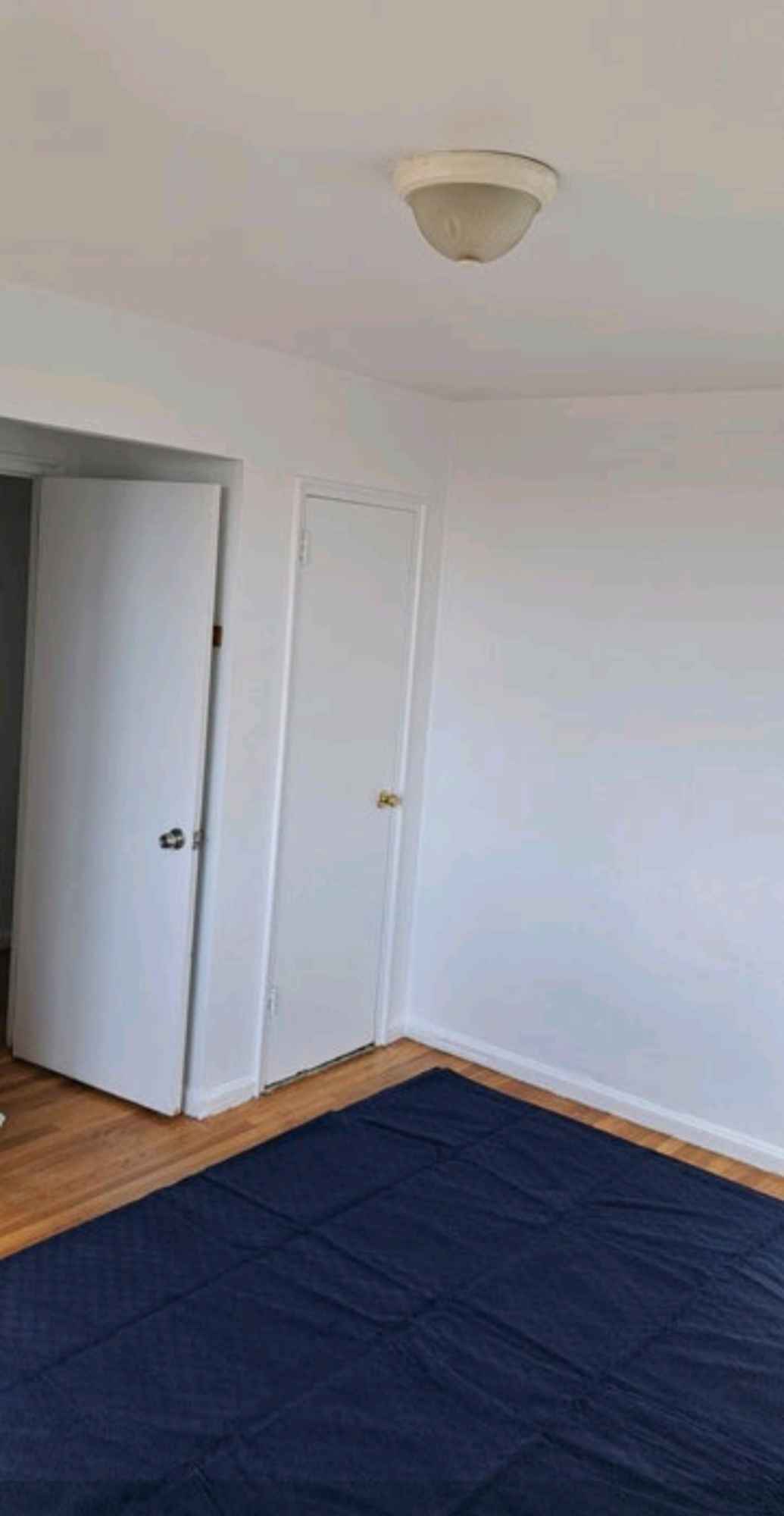 Restful peaceful place to nestle into from the toilsome 9-5pm work routine.  Currently residing are 2 females and one male. Respectful environment. We do not bring the party over. Our social networks or supports are outside of our home.  I, the primary apartment lessee, maintain the apartment and keep the public spaces clean. Very secure environment where a female occupant can feel protected and safe in a city such as New York City. A professional female is the candidate for this room, non-smoker- pets possible (cat or/and fish-nice combo!). Smoke free environment (cigs, vape or incense). Drug free environment. Life is beautiful without it! :)