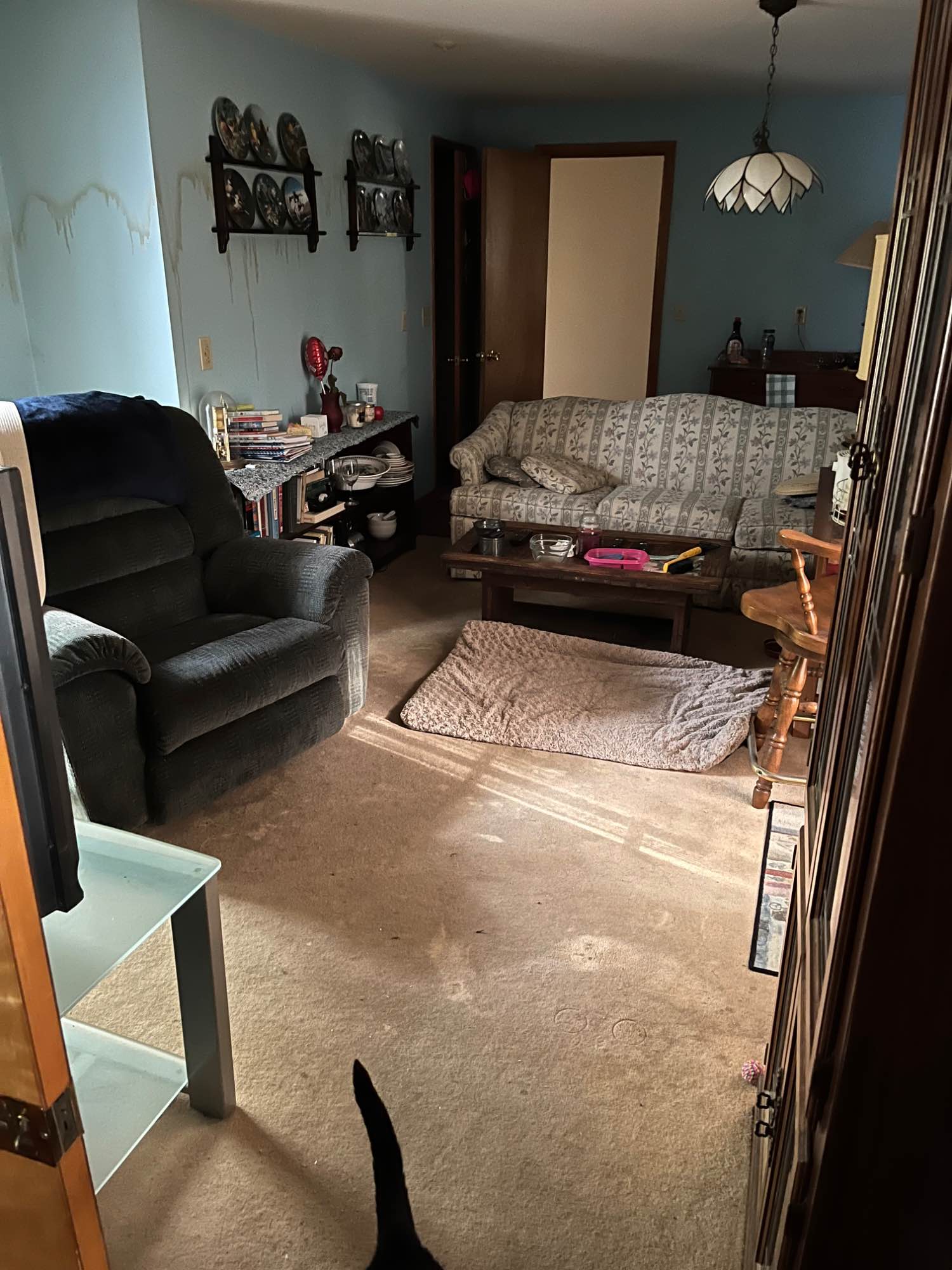 Quiet usually. I’m retired and our other housemate is hardly heard from. Animals are ok here. There are 2 cats and 2 dogs as housemates as well. I mind my business as a landlord. I respect people’s privacy. It’s a very nice place to live. 