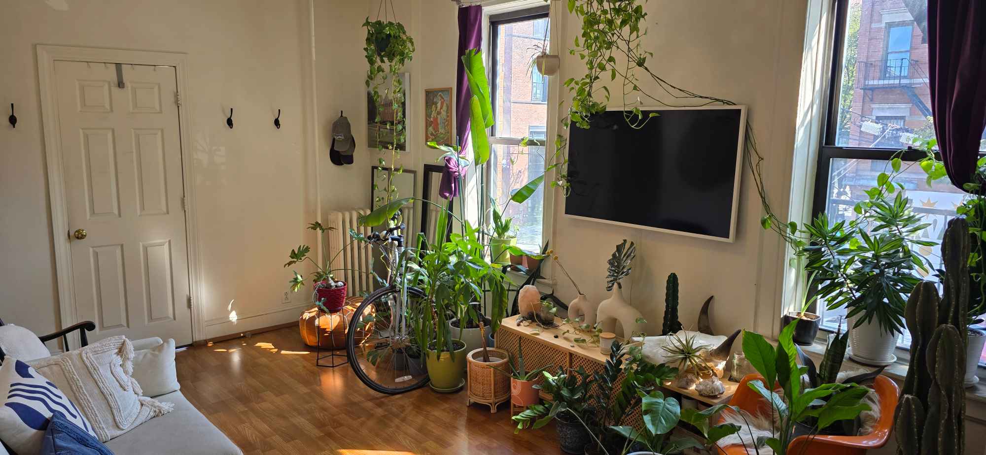 I have one room available in a clean, spacious two-bedroom apartment just five minutes from Myrtle-Wyckoff L/M trains. The apartment is spacious with a nice kitchen and a large bright living room. The room features a southeast-facing window with great morning light, measures 14' x 7.5', and includes a closet. I can provide a desk, chair, and bookshelf if needed. The apartment is on the second floor of a well-maintained walk-up with roof access and a responsive landlord.
Ridgewood is a great neighborhood with lots of new apartment buildings and businesses popping up and is only 20 minutes from Union Square. The neighborhood is safe and quiet with lots of convenience stores, grocery stores, laundromats, restaurants, cafes, bars, buses, and trains nearby. It is also walking distance to the lively Jefferson area in Bushwick.
About me: I'm a 38-year-old professional who works in the city (typically 1-11pm). I’m easy going, like to eat really healthy and cook a lot. I like traveling, photography, music, volleyball, and nightlife. I keep the apartment very clean and clutter-free so you must be clean, clutter-free, and willing to share in the cleaning responsibilities and pick up after yourself. If you are messy and/or have a lot of stuff this would not be a good apartment for you. Sorry but no couples, pets, drugs, tobacco, or alcohol.
The room is available September 1st. Rent is $1,100 per month plus a $1,500 security deposit (first month + security due at signing). Utilities and household expenses are split 50/50 with FIOS 300/MBPS internet being $28 per person and gas/electric usually about $70 per person depending on time of year. Looking for someone to stay for a year or more.
If interested, please email with a brief introduction including your age, occupation, and lifestyle. Please include any social media profiles or personal websites. Thanks.
*Some of the furniture and plants pictured are gone, including the TV*